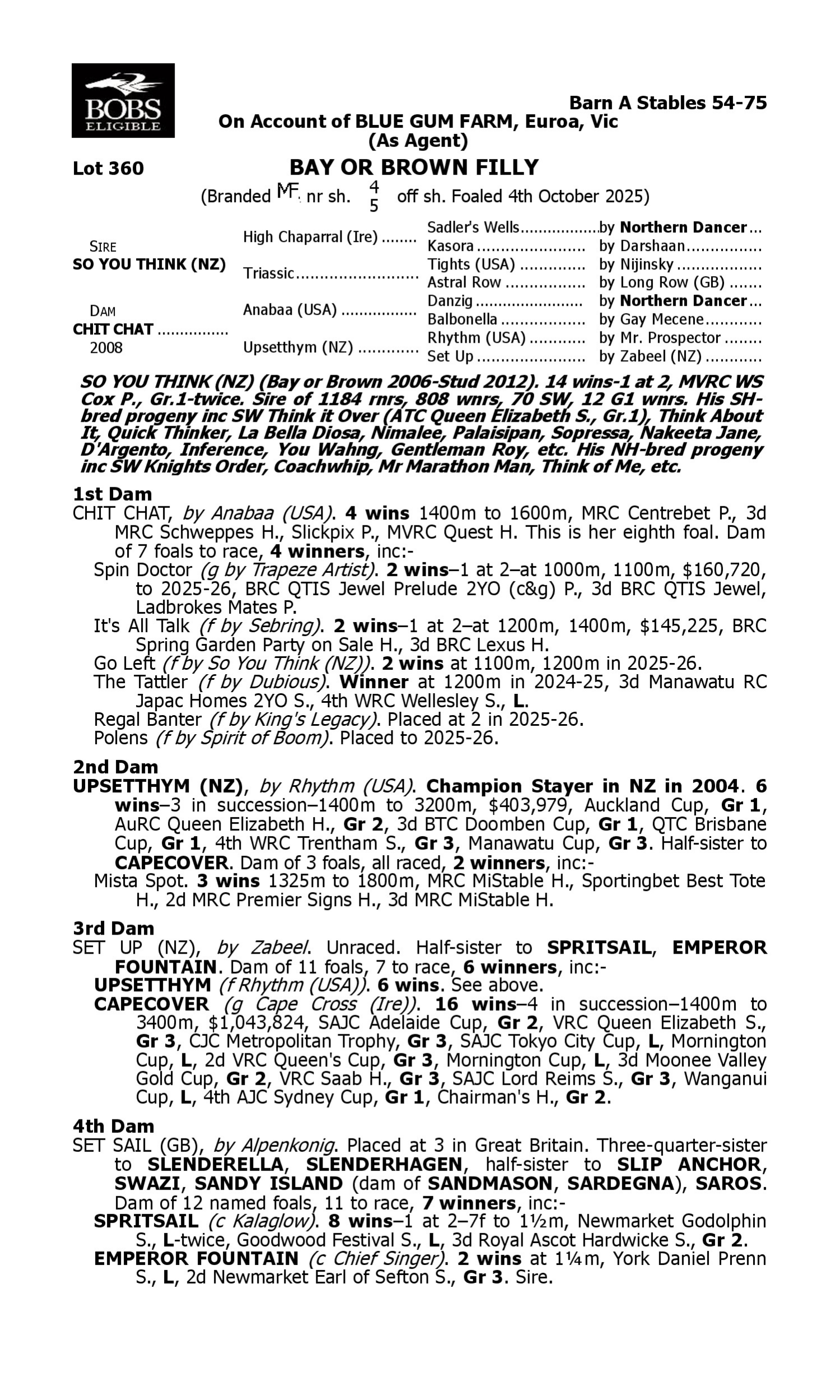 Pedigree for Lot 360 So You Think (NZ) - Chit Chat