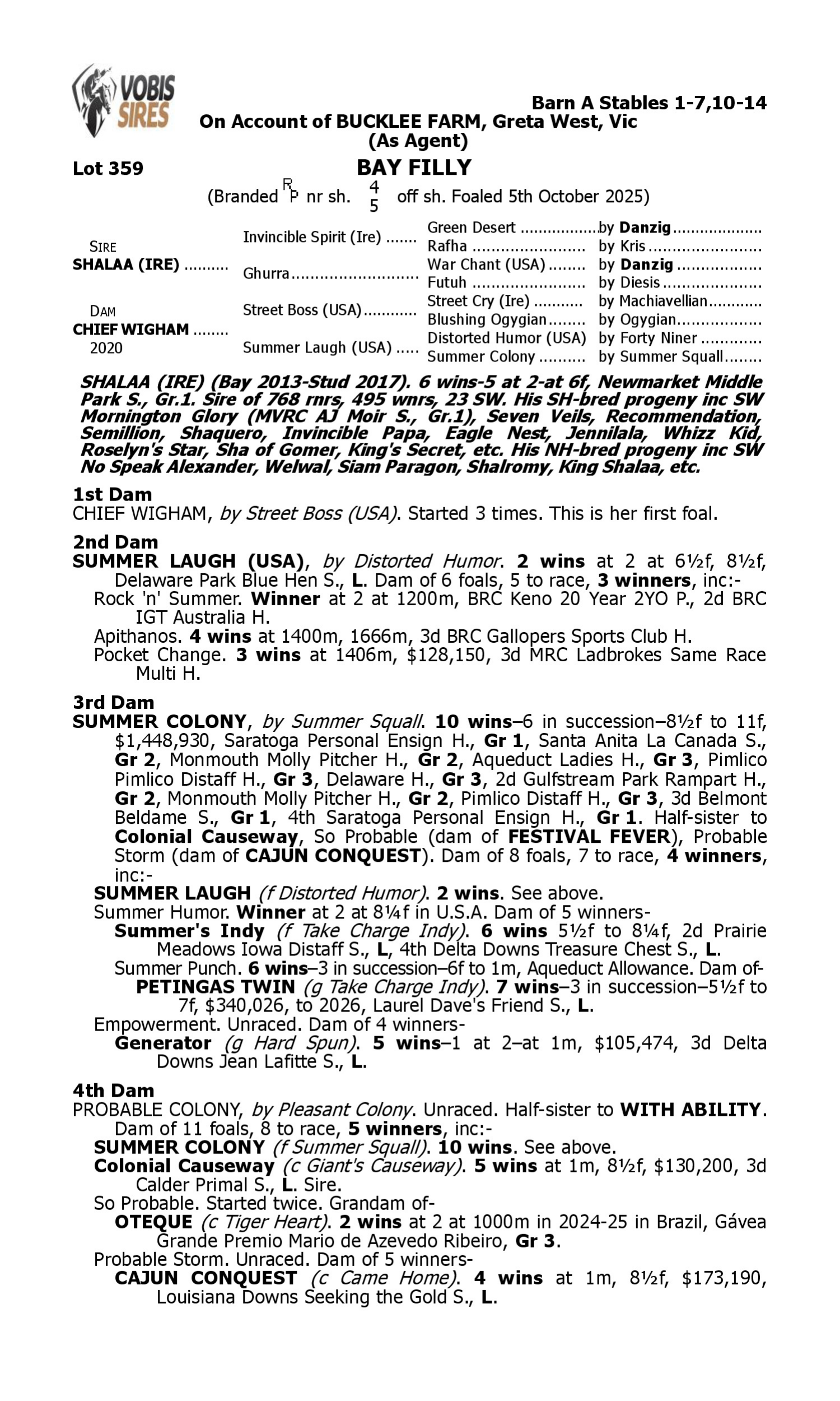 Pedigree for Lot 359 Shalaa (IRE) - Chief Wigham