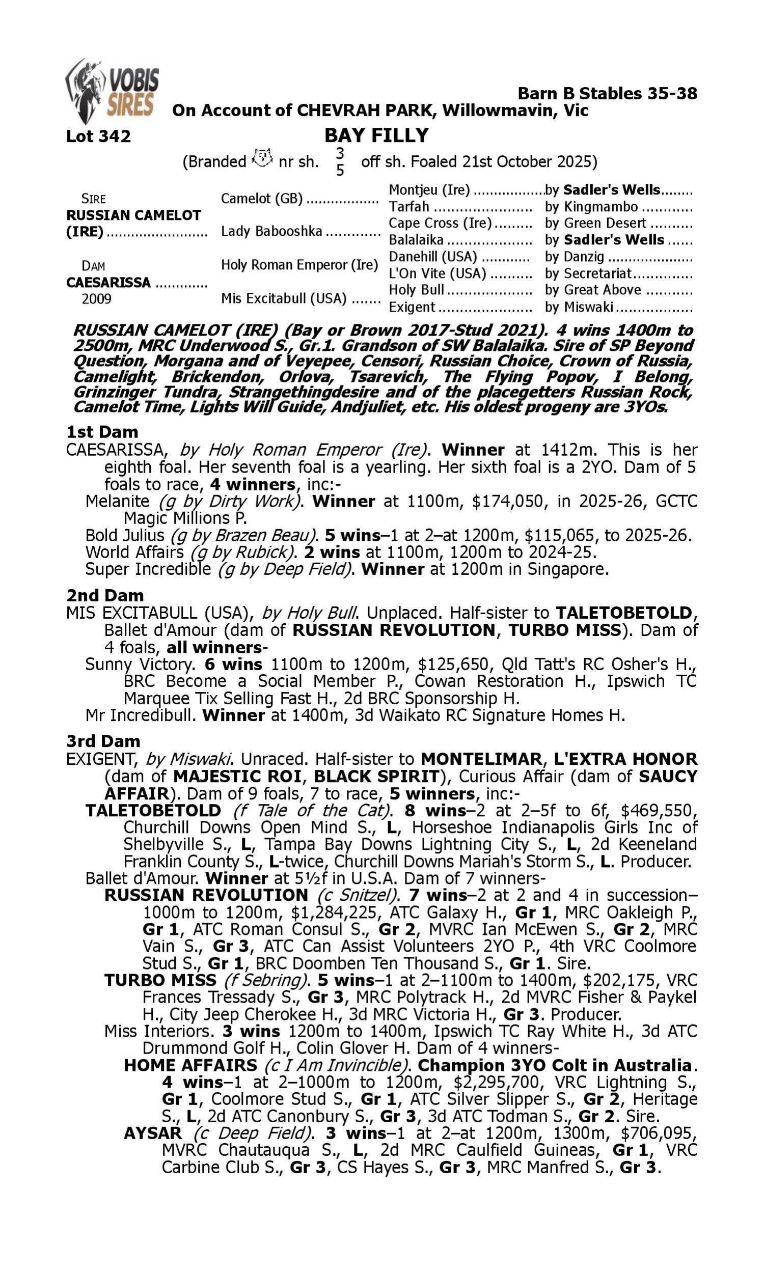 Pedigree for Lot 342 Russian Camelot (IRE) - Caesarissa