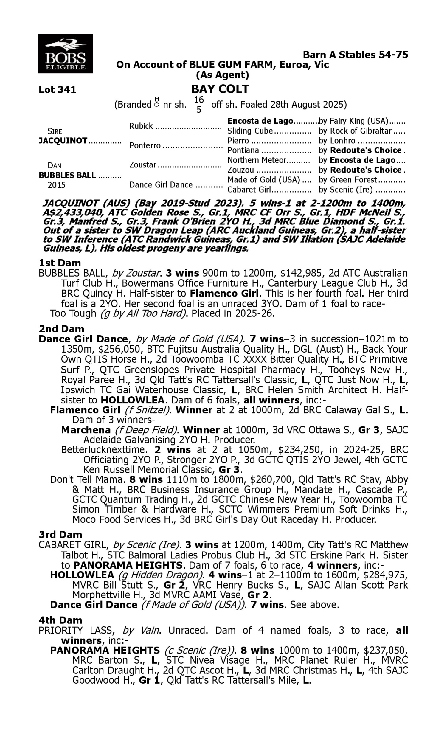 Pedigree for Lot 341 Jacquinot - Bubbles Ball