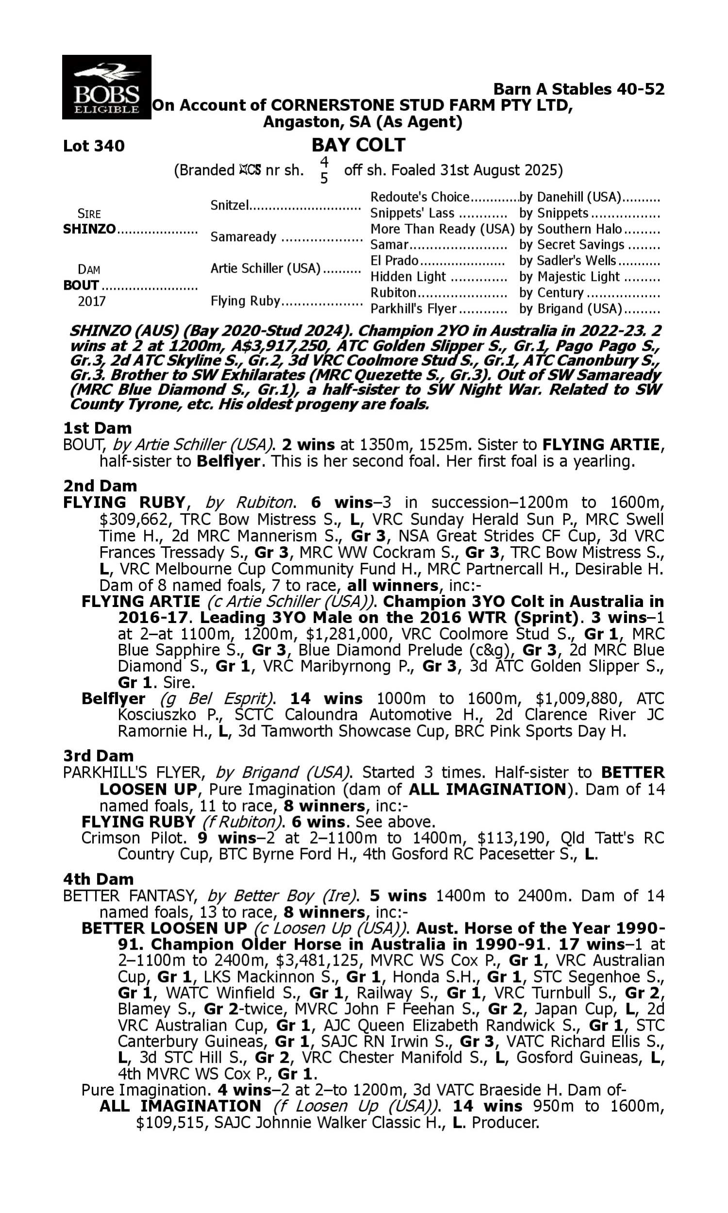 Pedigree for Lot 340 Shinzo - Bout