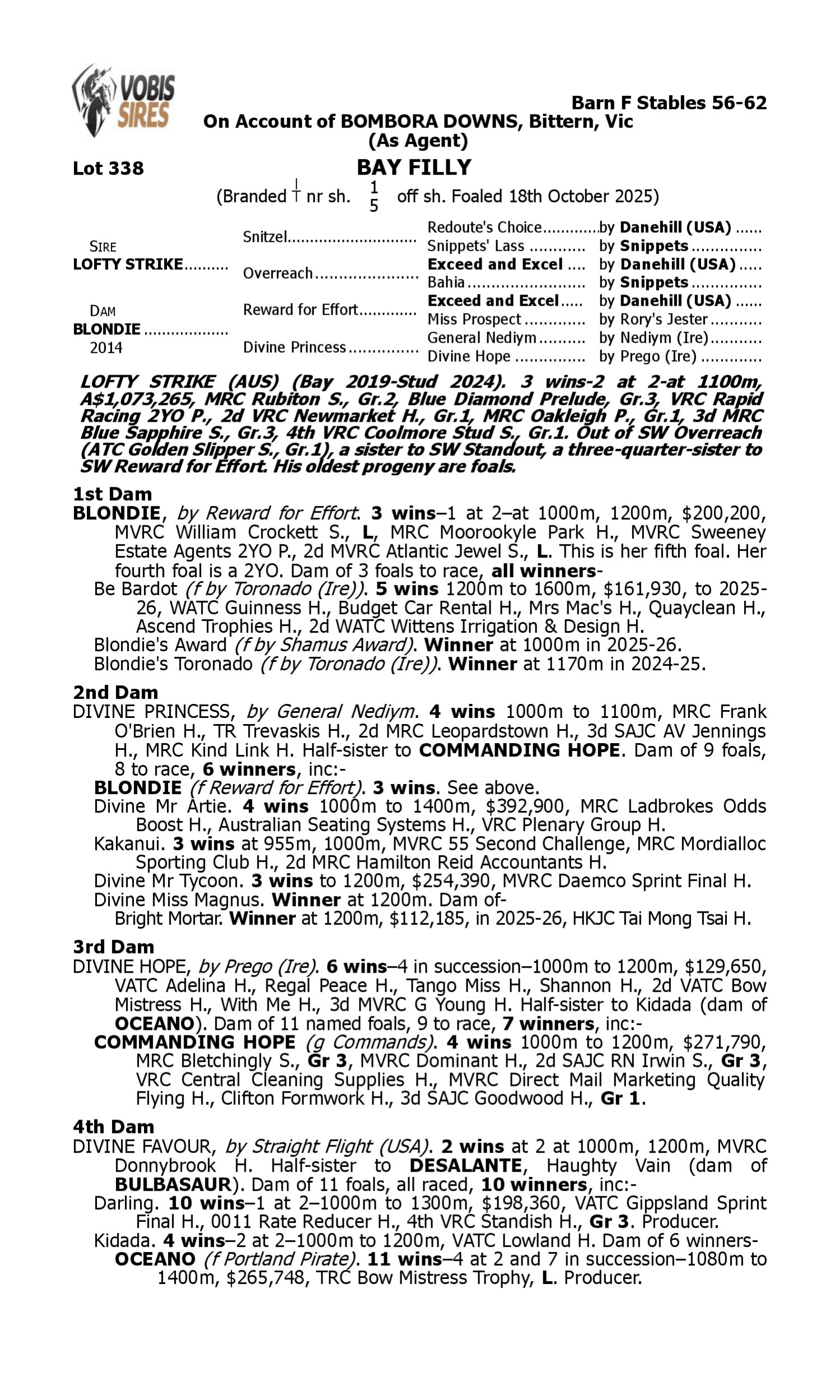 Pedigree for Lot 338 Lofty Strike - Blondie