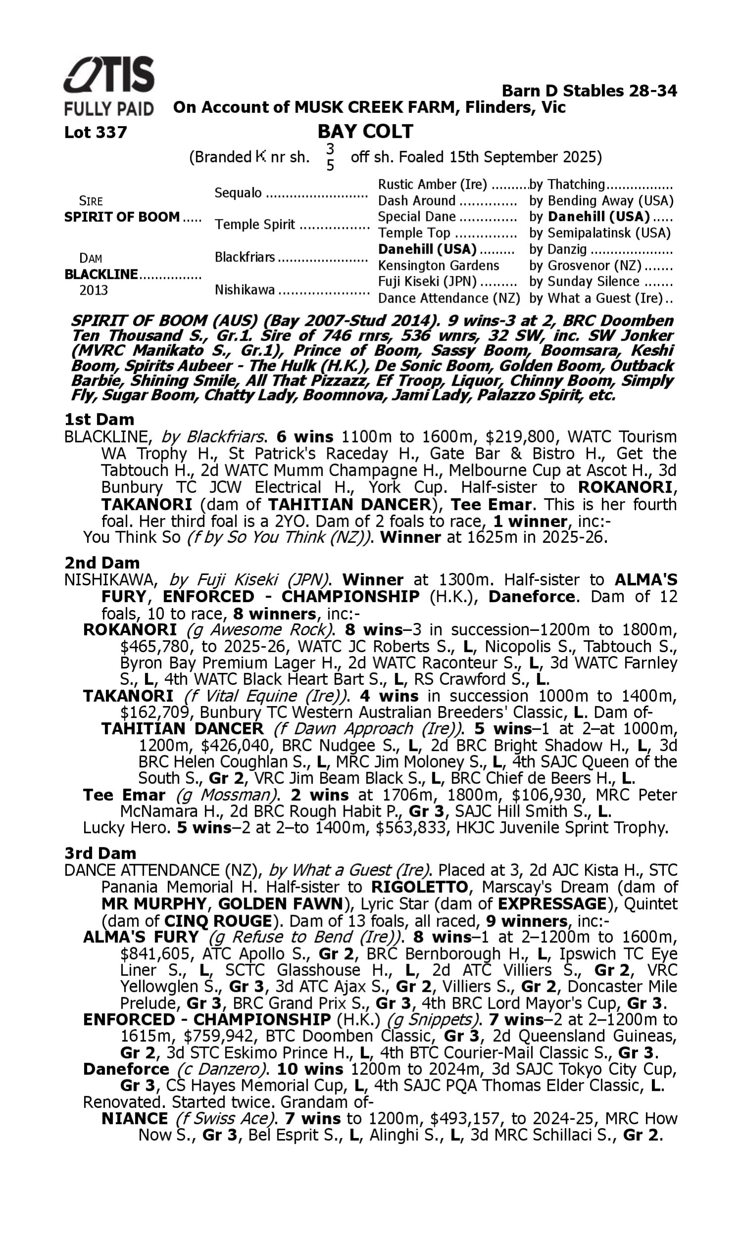 Pedigree for Lot 337 Spirit of Boom - Blackline