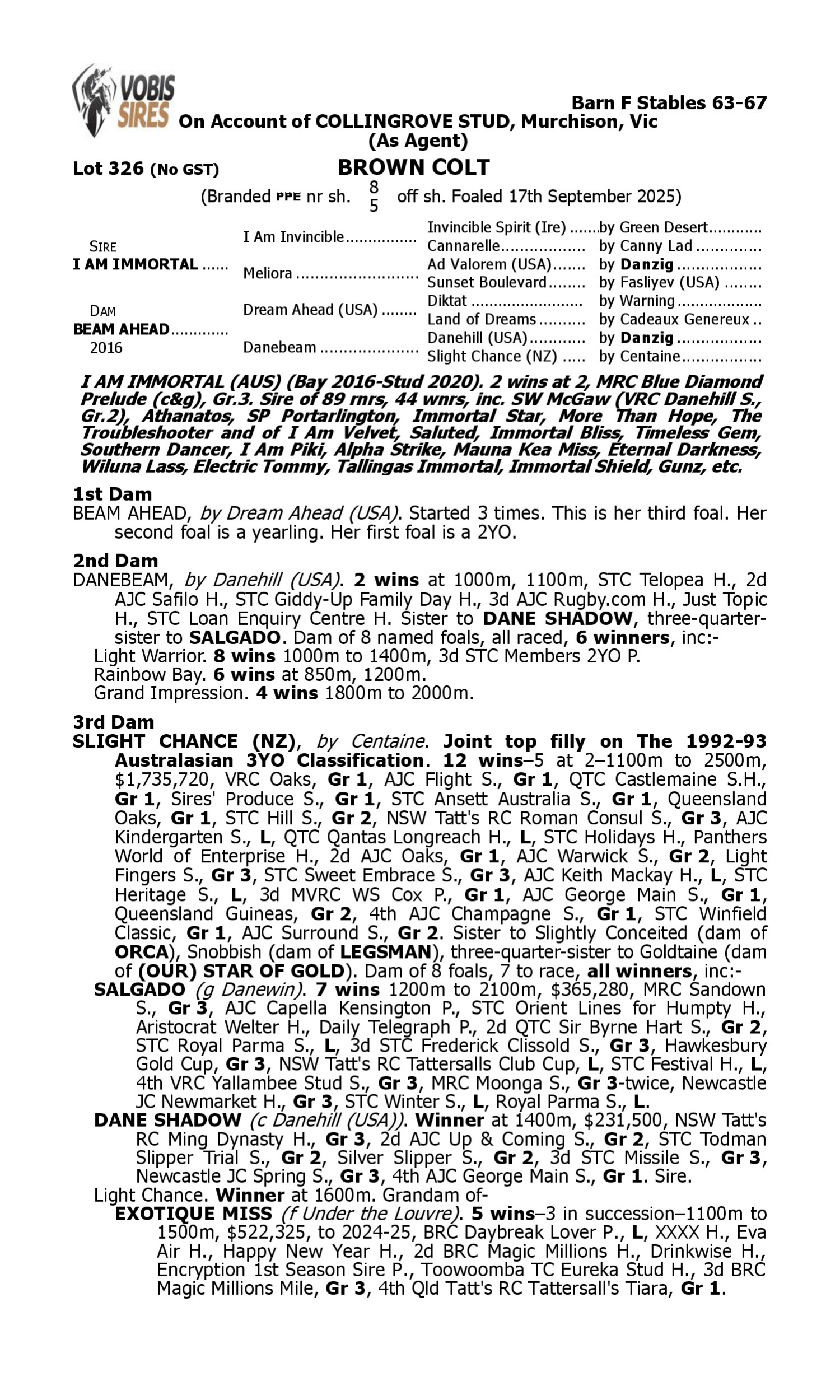Pedigree for Lot 326 I Am Immortal - Beam Ahead