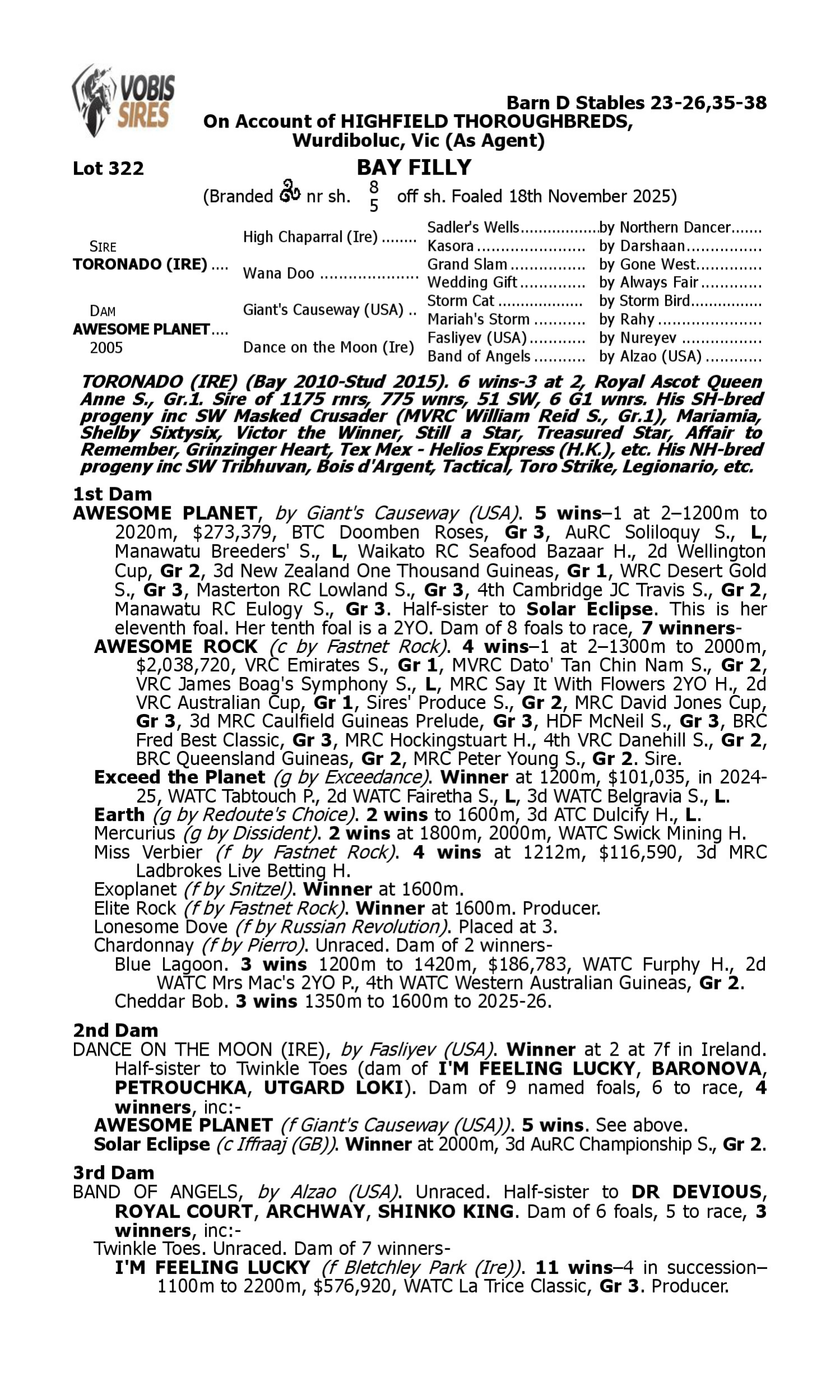 Pedigree for Lot 322 Toronado (IRE) - Awesome Planet