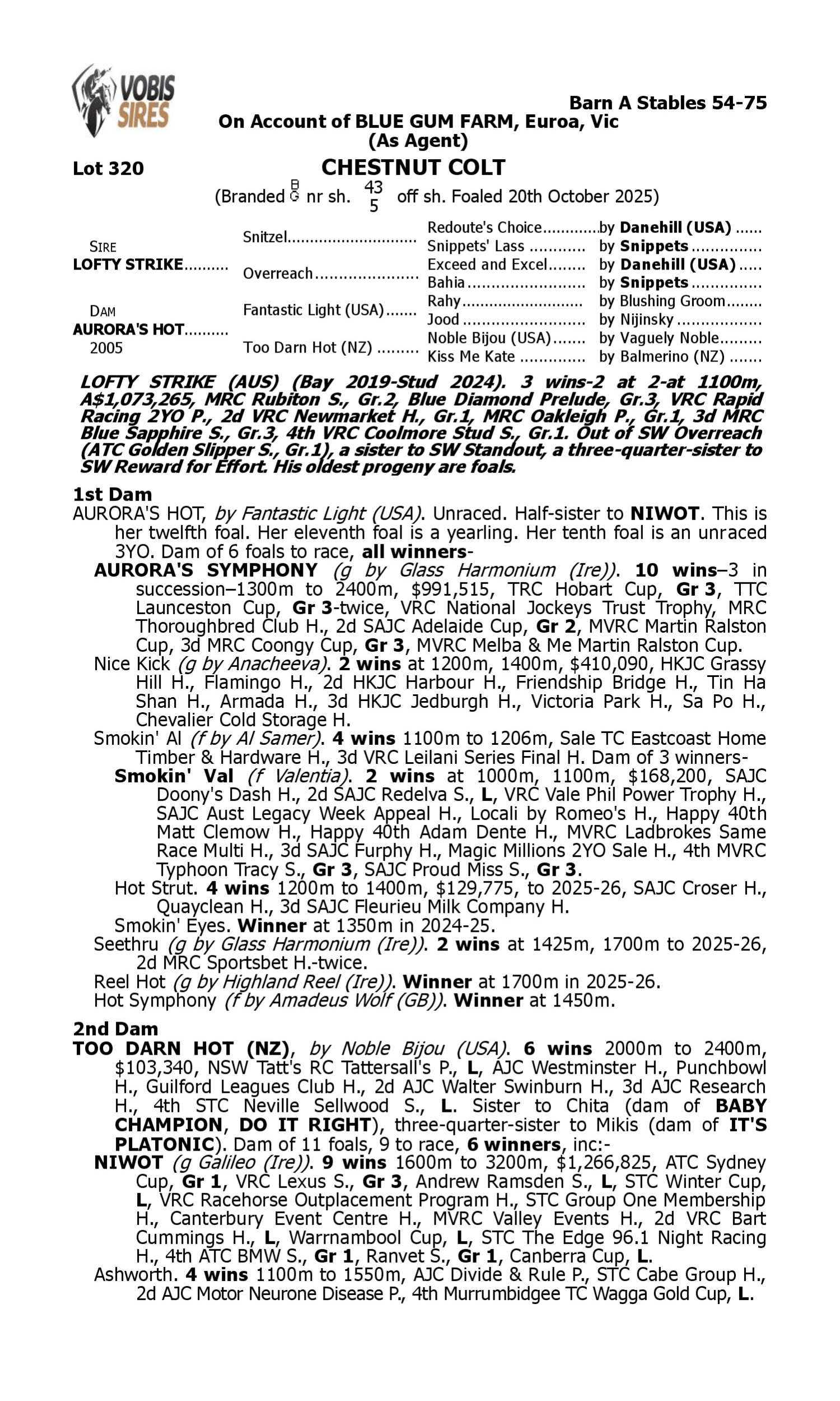 Pedigree for Lot 320 Lofty Strike - Aurora's Hot