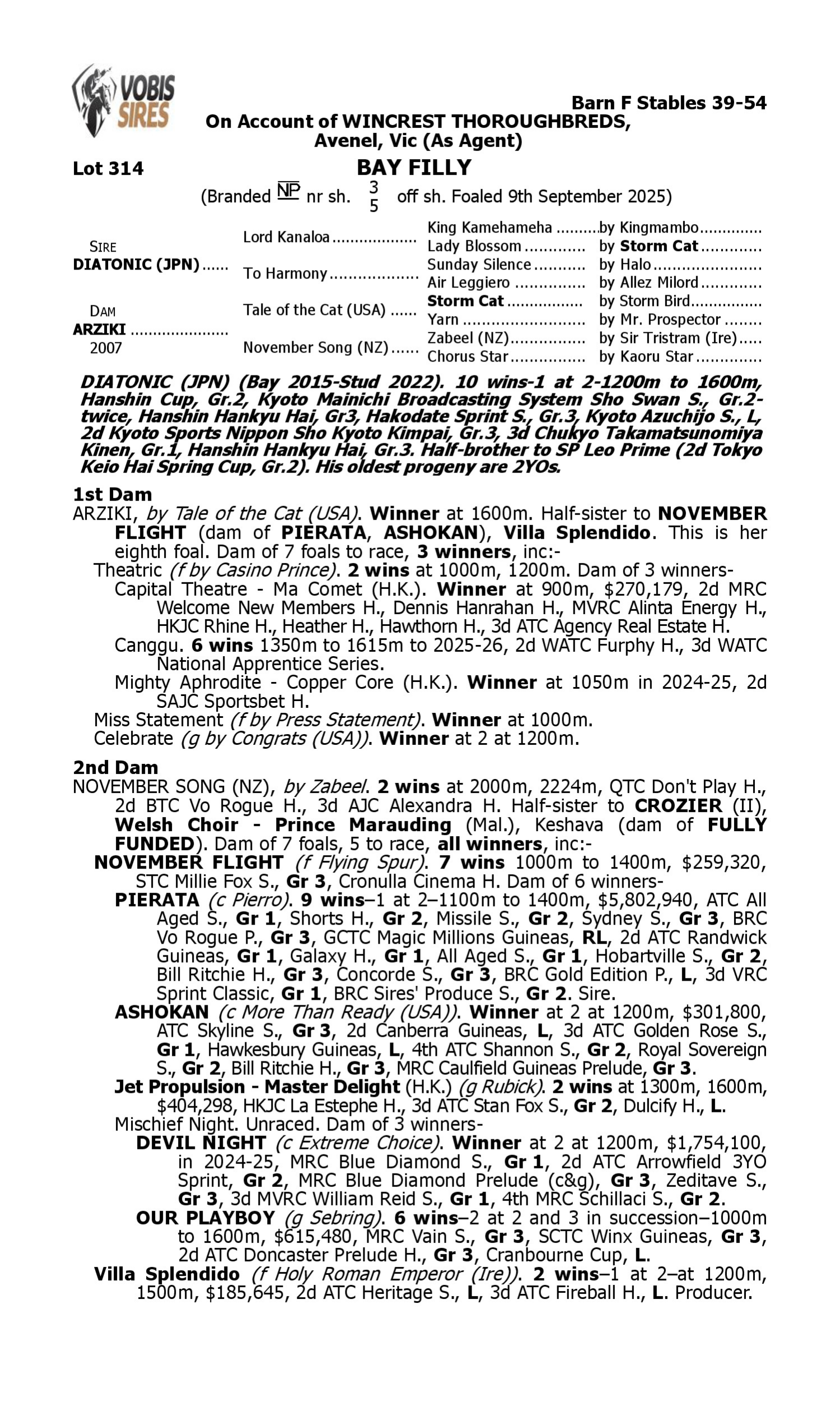 Pedigree for Lot 314 Diatonic (JPN) - Arziki