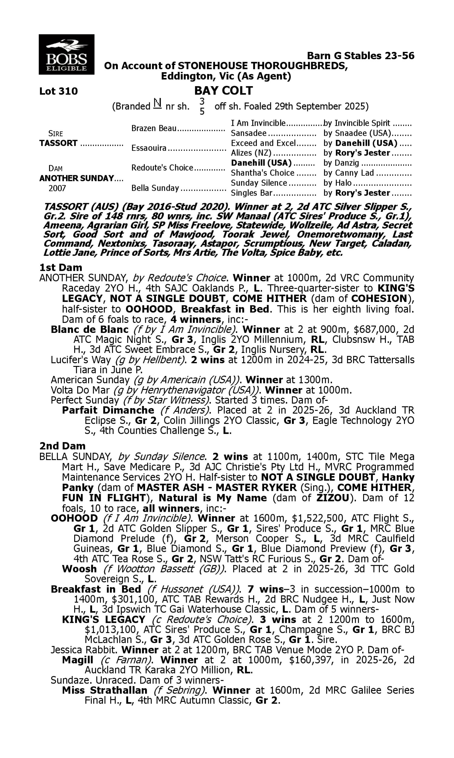 Pedigree for Lot 310 Tassort - Another Sunday