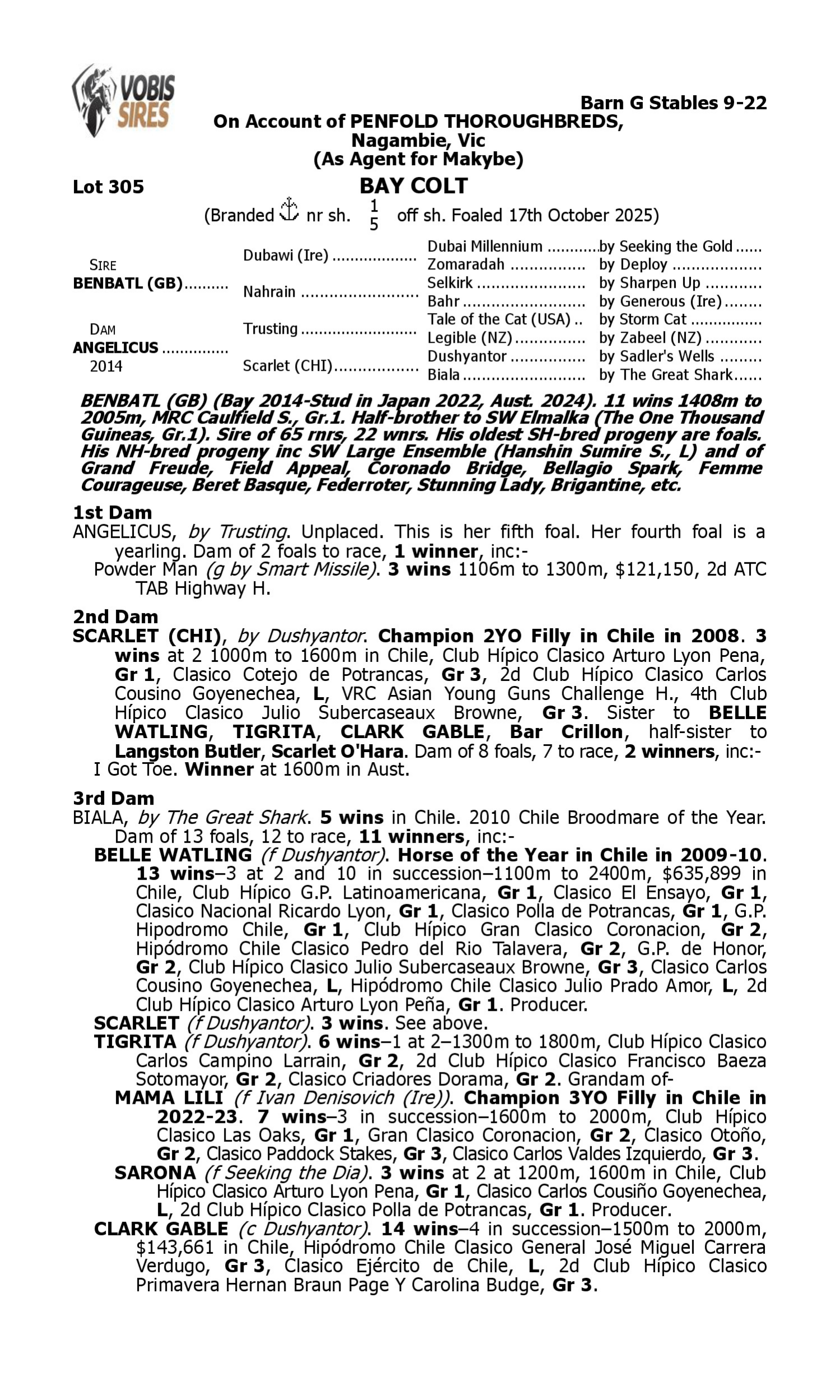 Pedigree for Lot 305 Benbatl (GB) - Angelicus