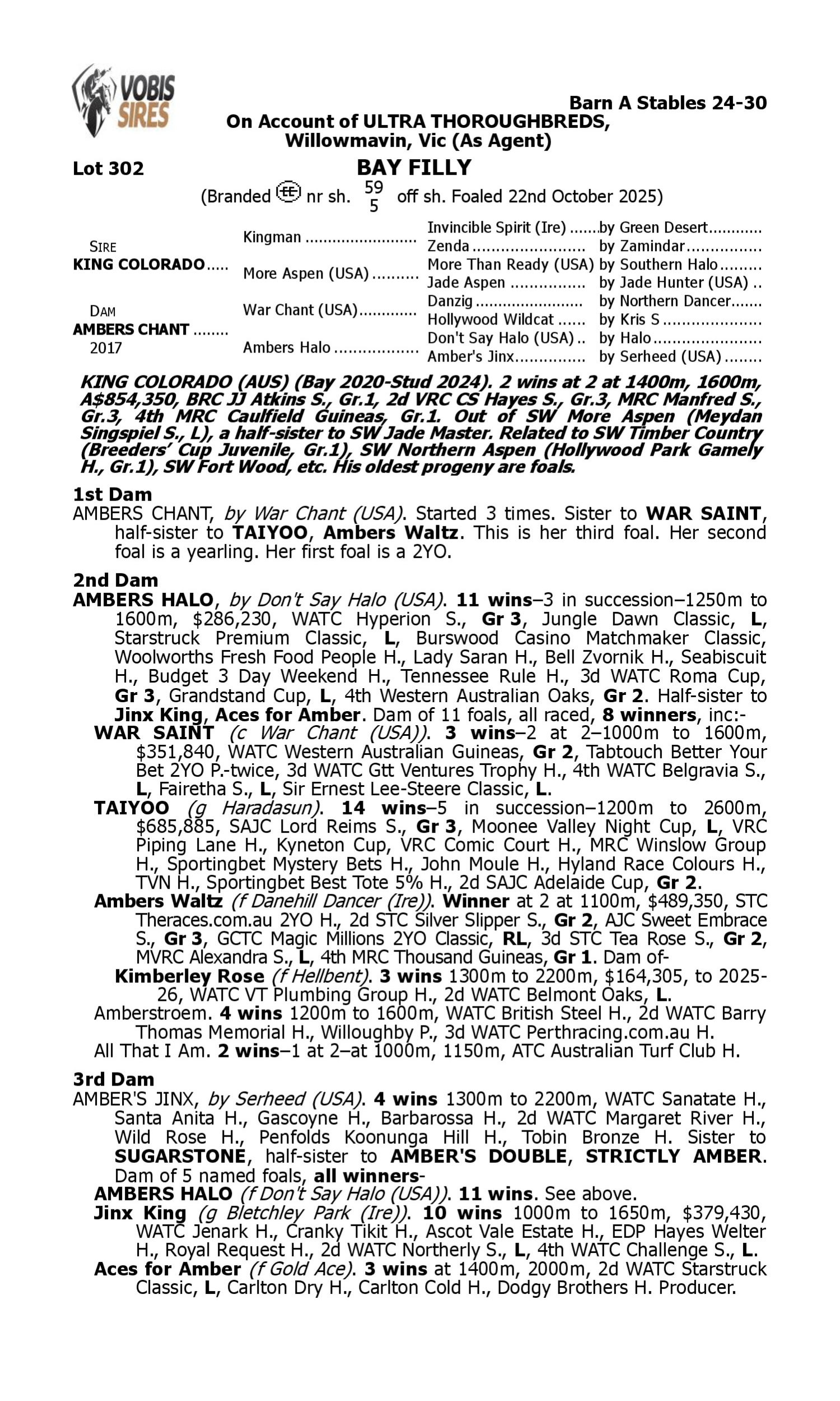 Pedigree for Lot 302 King Colorado - Ambers Chant