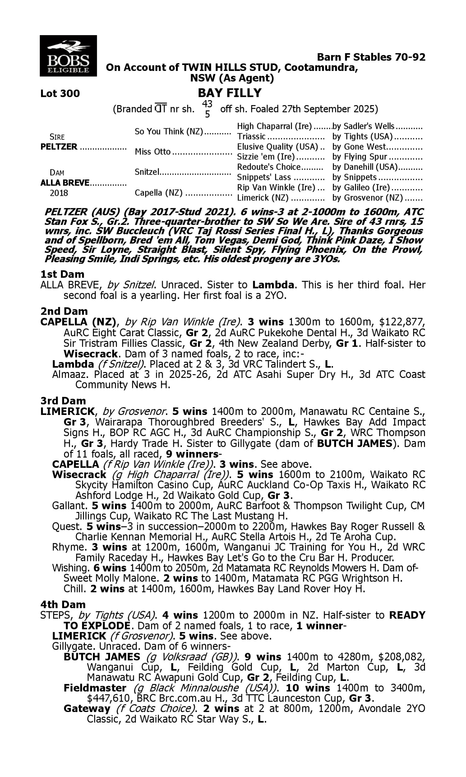 Pedigree for Lot 300 Peltzer - Alla Breve