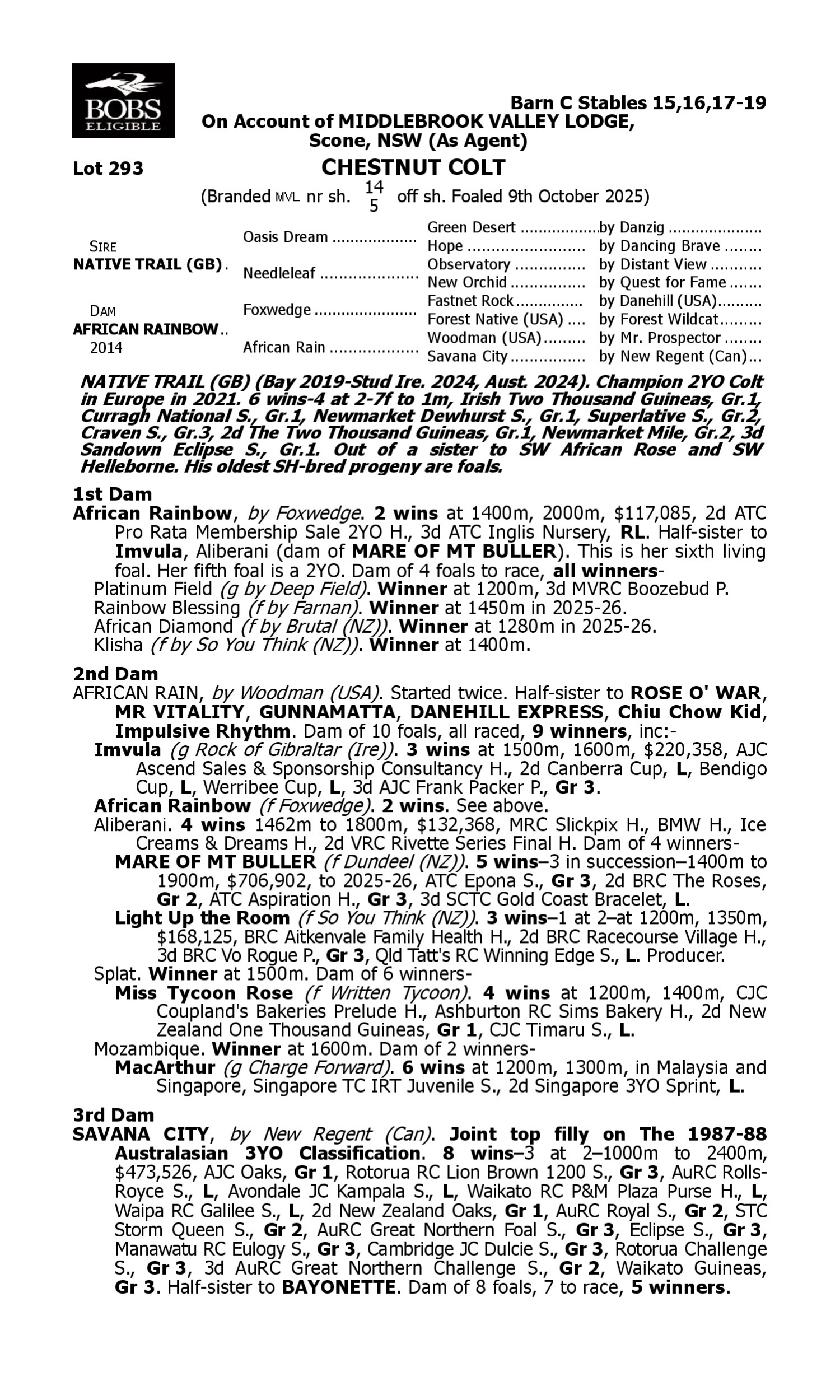 Pedigree for Lot 293 Native Trail (GB) - African Rainbow