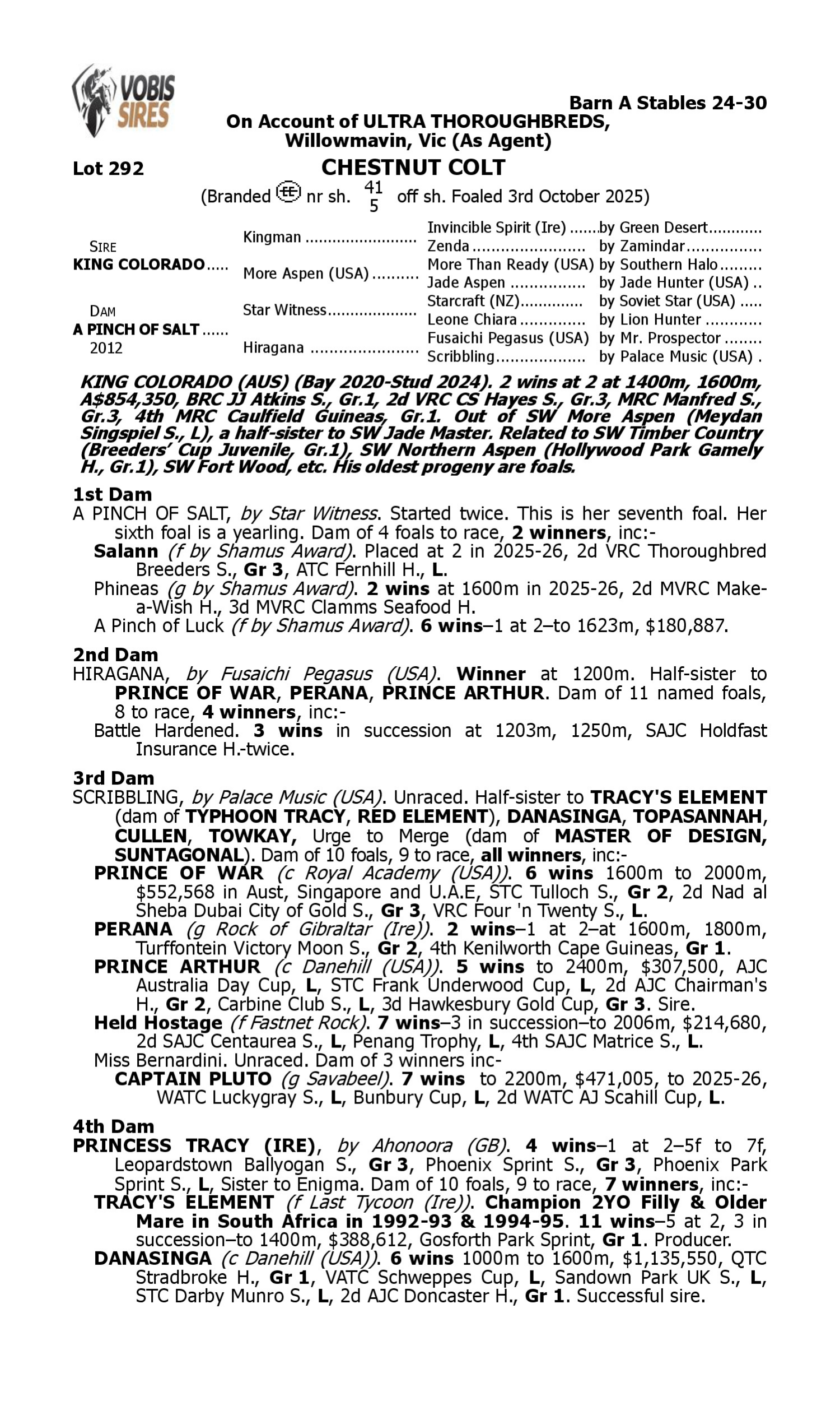 Pedigree for Lot 292 King Colorado - A Pinch of Salt