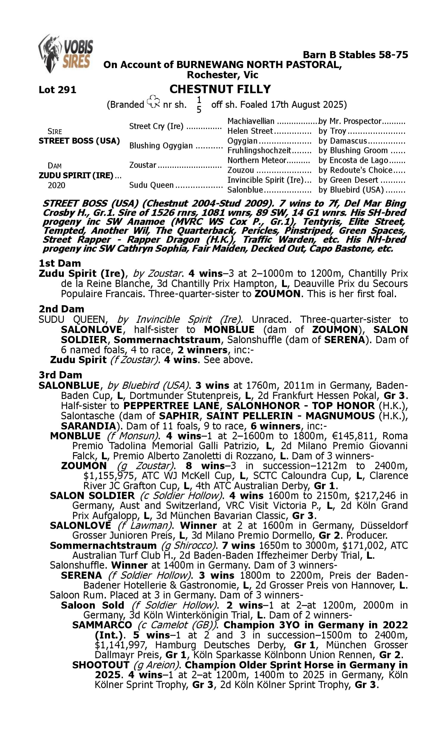 Pedigree for Lot 291 Street Boss (USA) - Zudu Spirit (IRE)