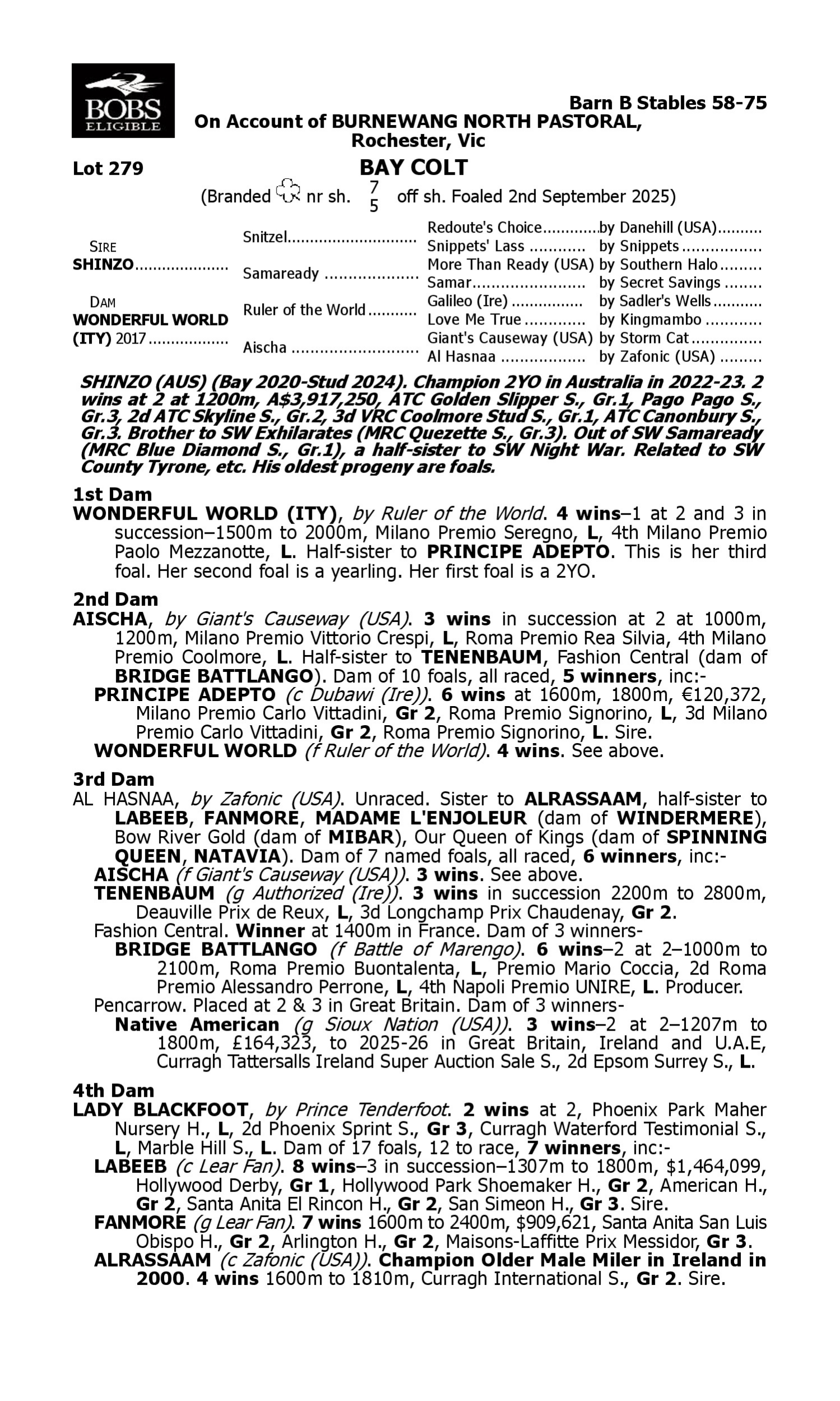 Pedigree for Lot 279 Shinzo - Wonderful World (ITY)