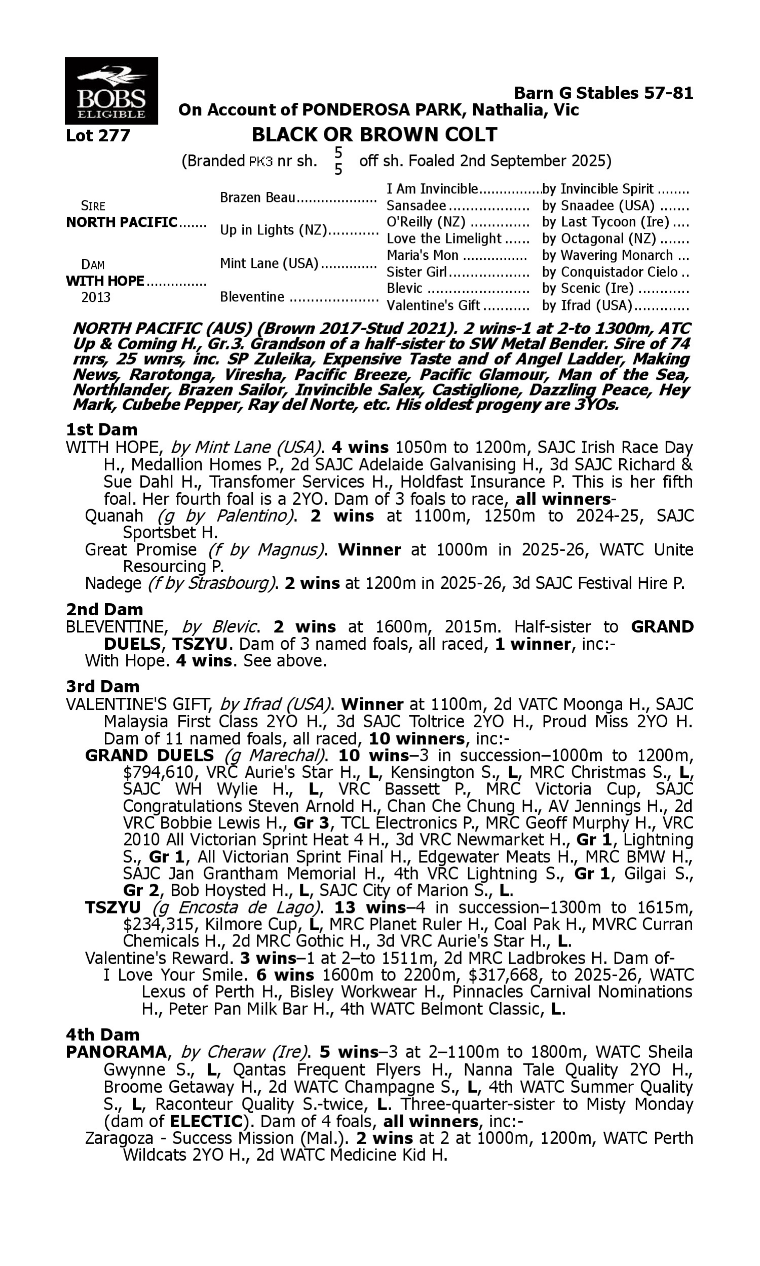 Pedigree for Lot 277 North Pacific - With Hope