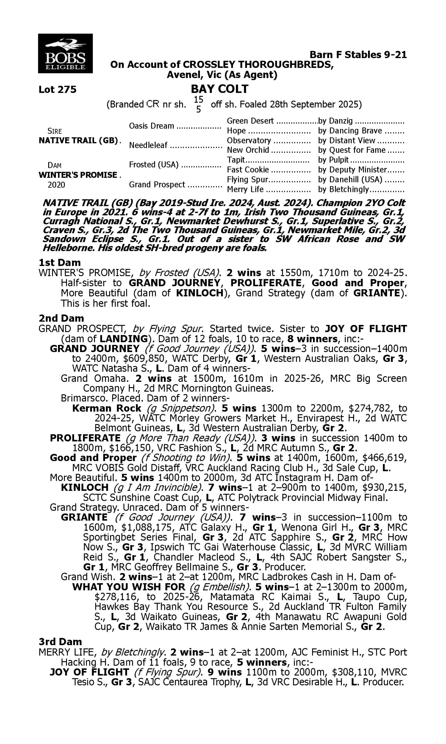 Pedigree for Lot 275 Native Trail (GB) - Winter's Promise