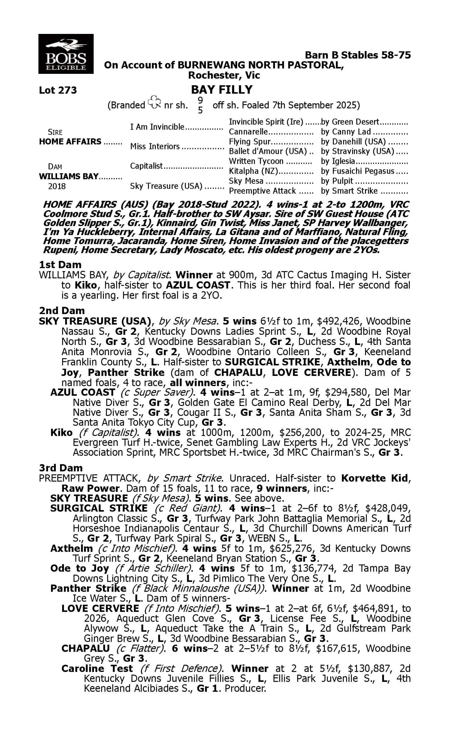 Pedigree for Lot 273 Home Affairs - Williams Bay