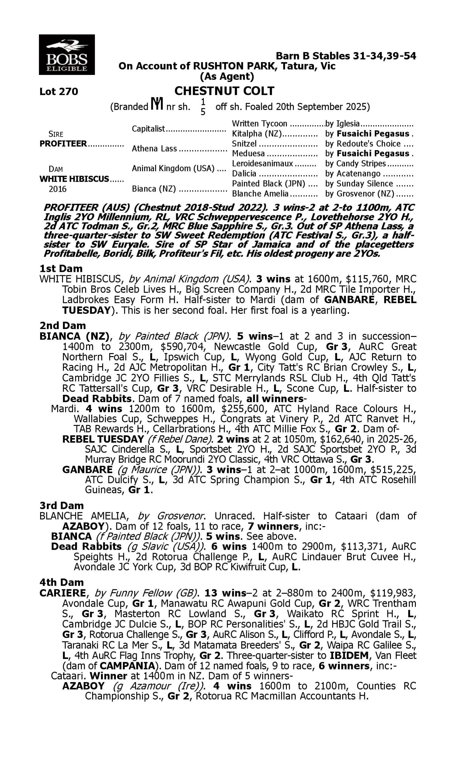 Pedigree for Lot 270 Profiteer - White Hibiscus