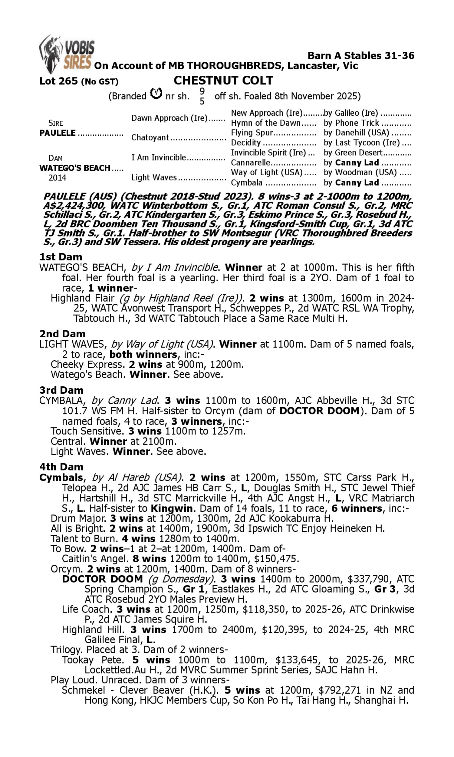 Pedigree for Lot 265 Paulele - Watego's Beach