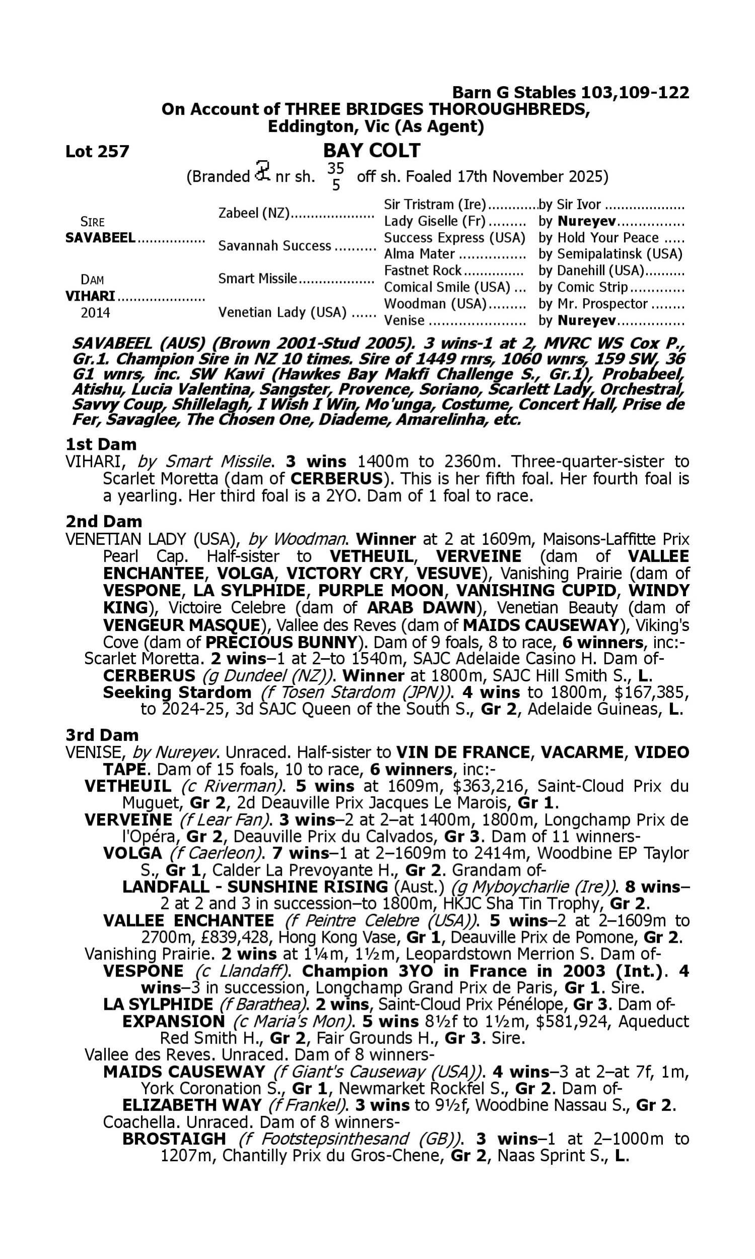 Pedigree for Lot 257 Savabeel - Vihari