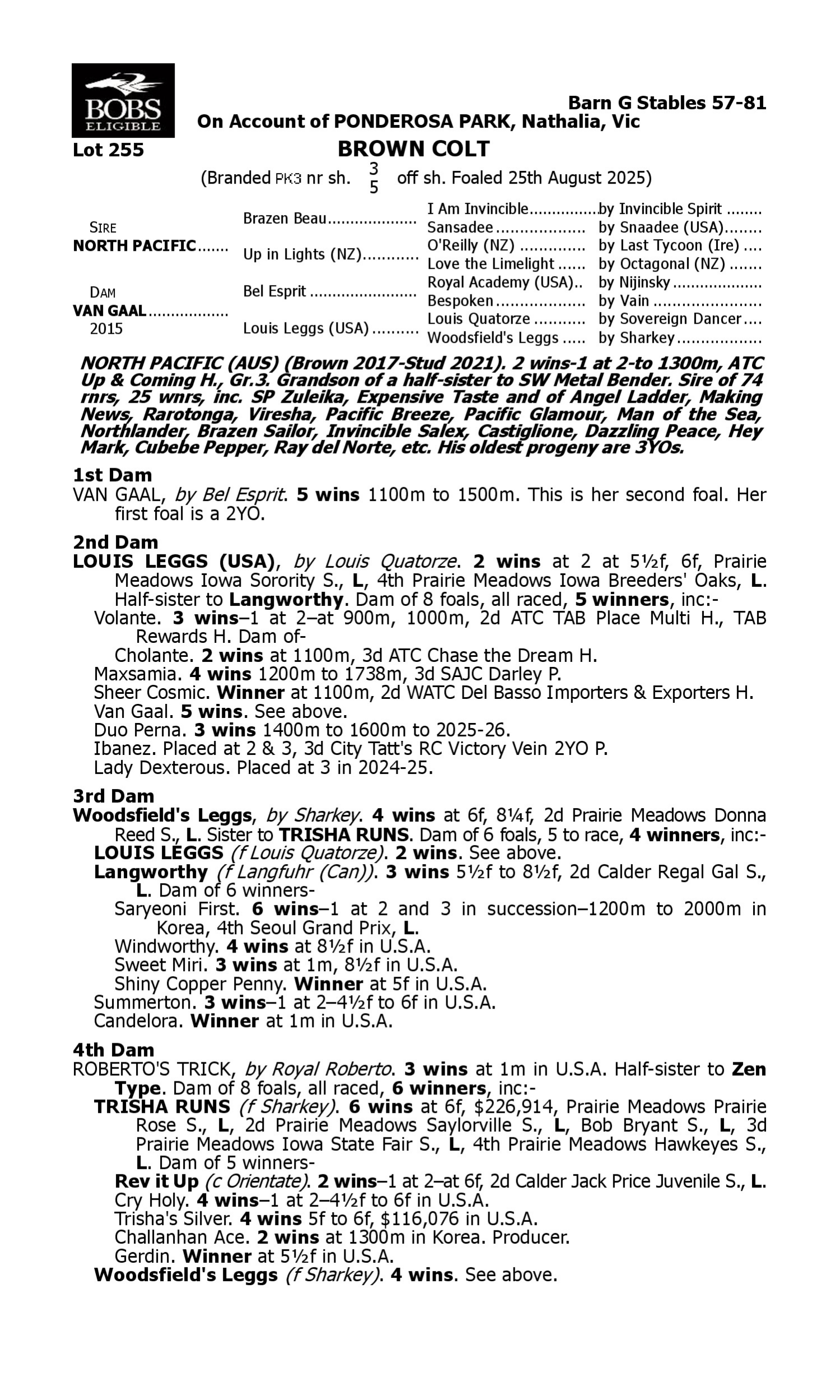 Pedigree for Lot 255 North Pacific - Van Gaal