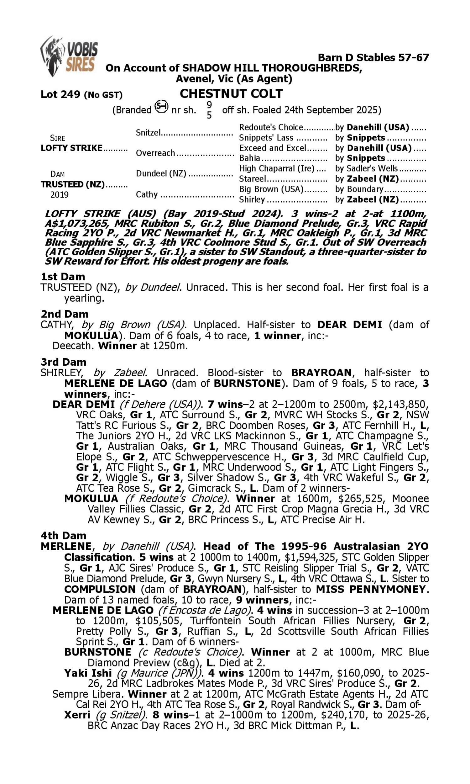 Pedigree for Lot 249 Lofty Strike - Trusteed (NZ)