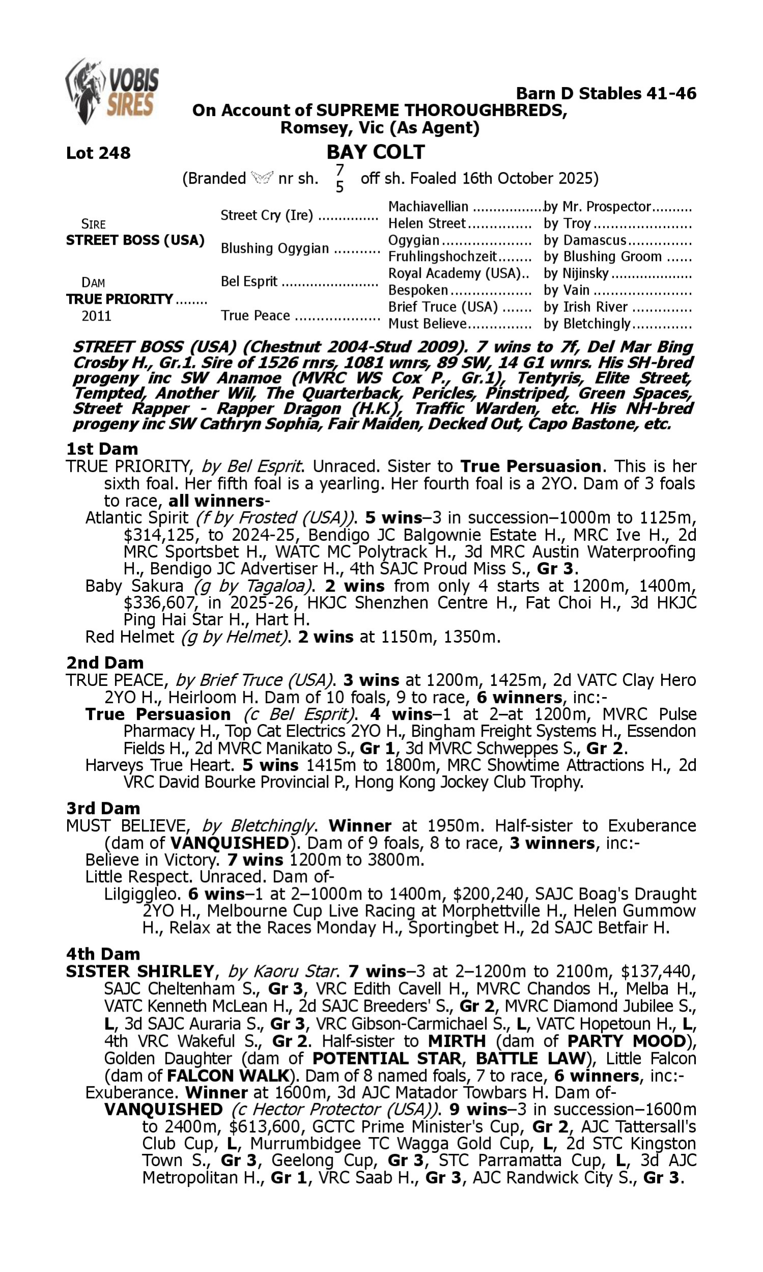 Pedigree for Lot 248 Street Boss (USA) - True Priority