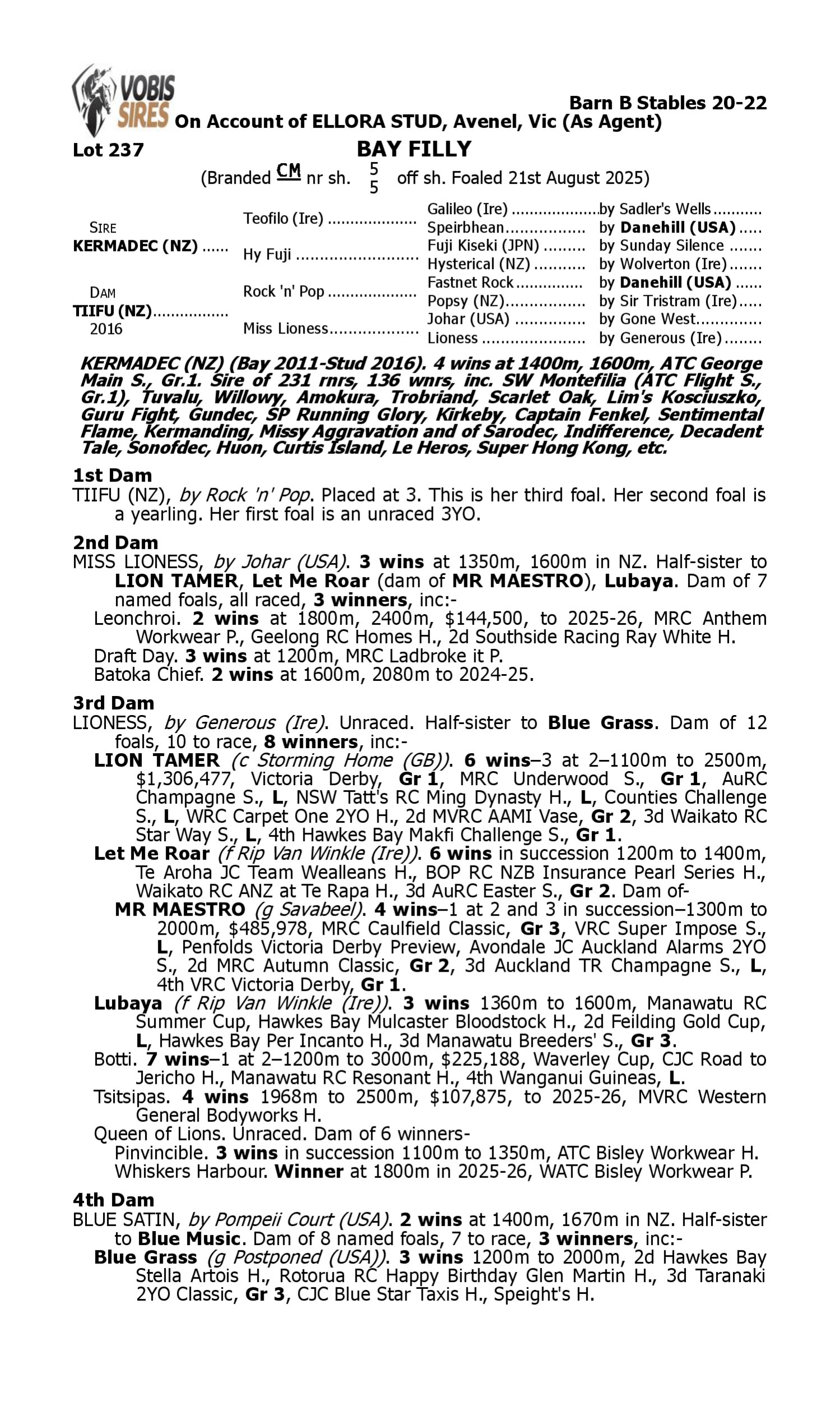 Pedigree for Lot 237 Kermadec (NZ) - Tiifu (NZ)