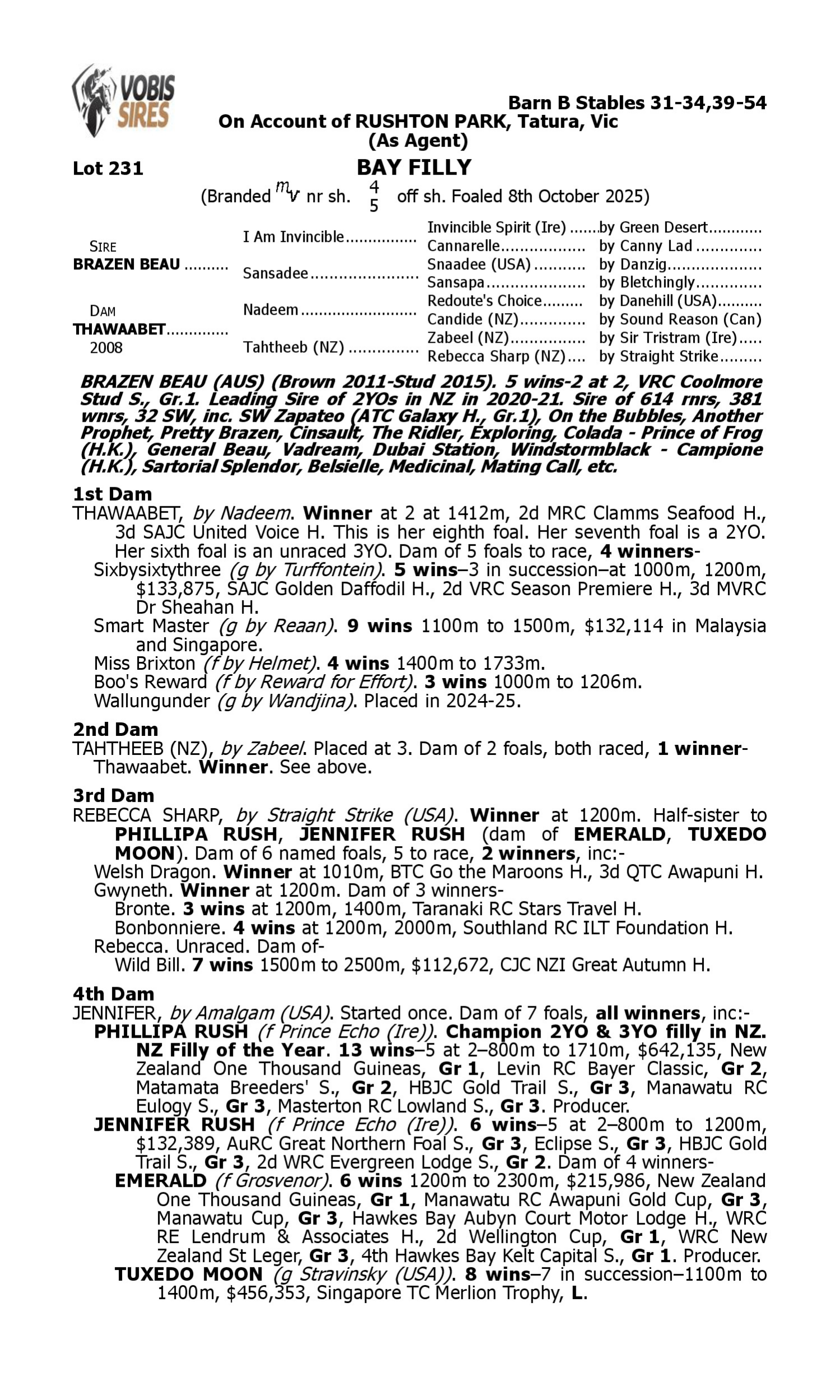 Pedigree for Lot 231 Brazen Beau - Thawaabet
