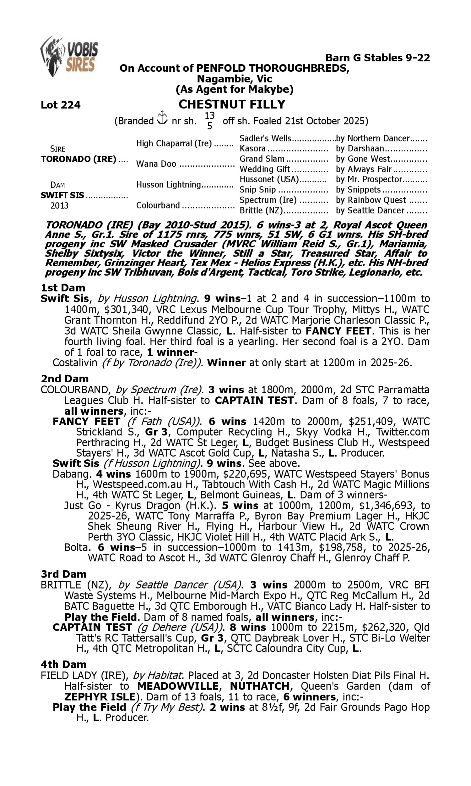 Pedigree for Lot 224 Toronado (IRE) - Swift Sis
