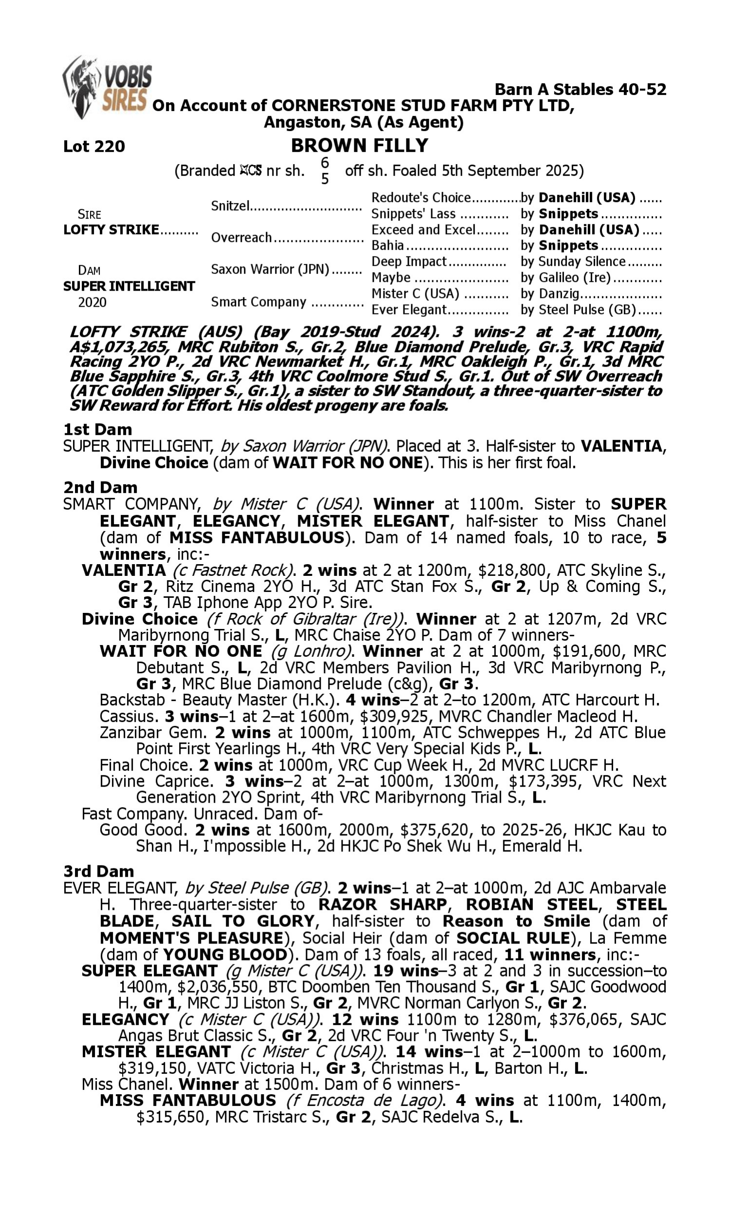 Pedigree for Lot 220 Lofty Strike - Super Intelligent