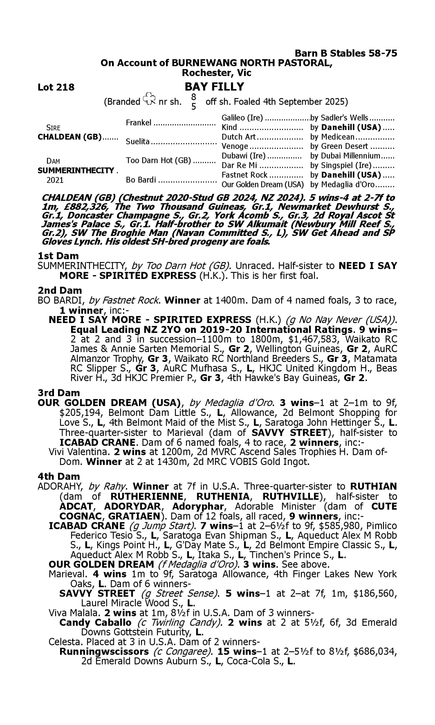 Pedigree for Lot 218 Chaldean (GB) - Summerinthecity