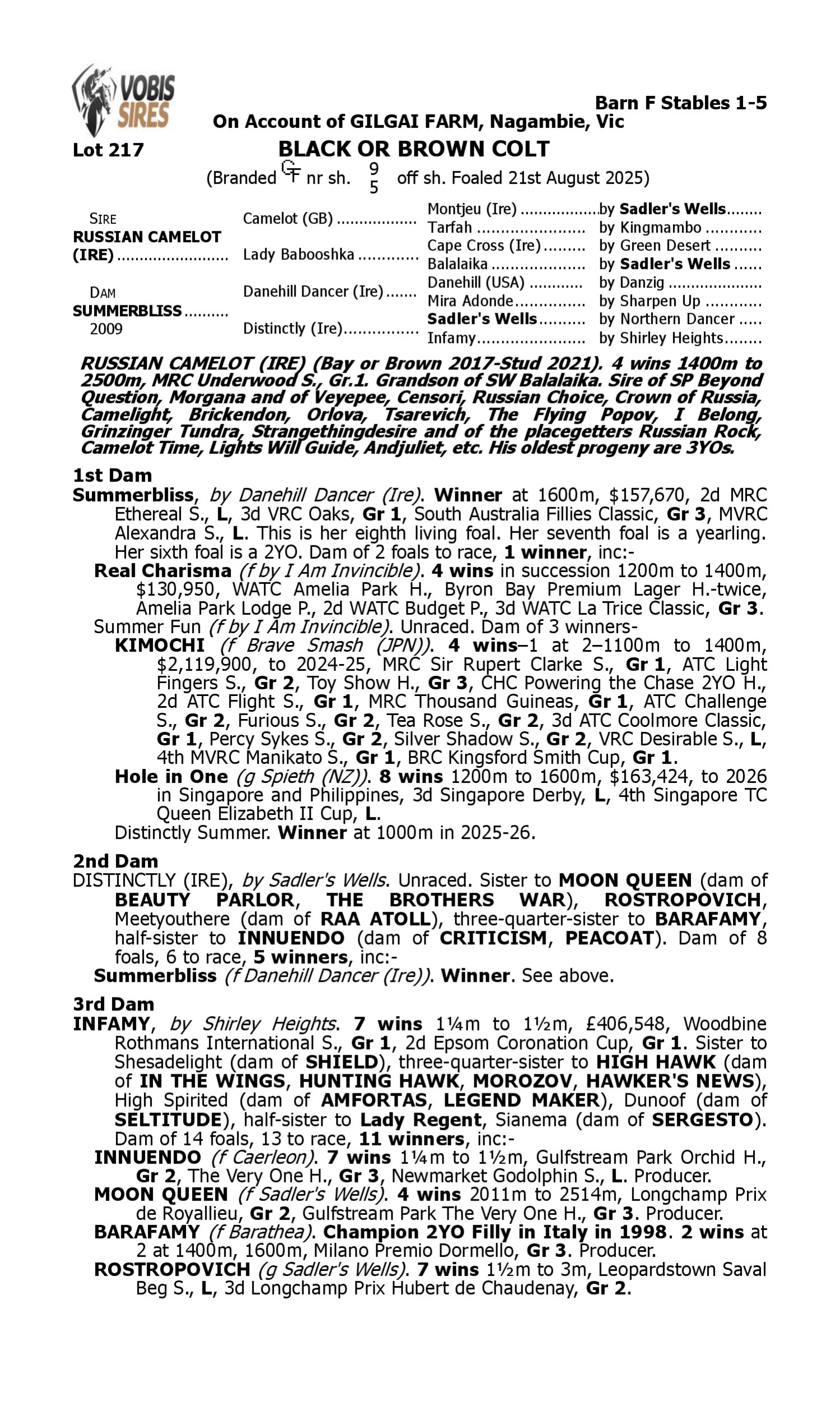 Pedigree for Lot 217 Russian Camelot (IRE) - Summerbliss