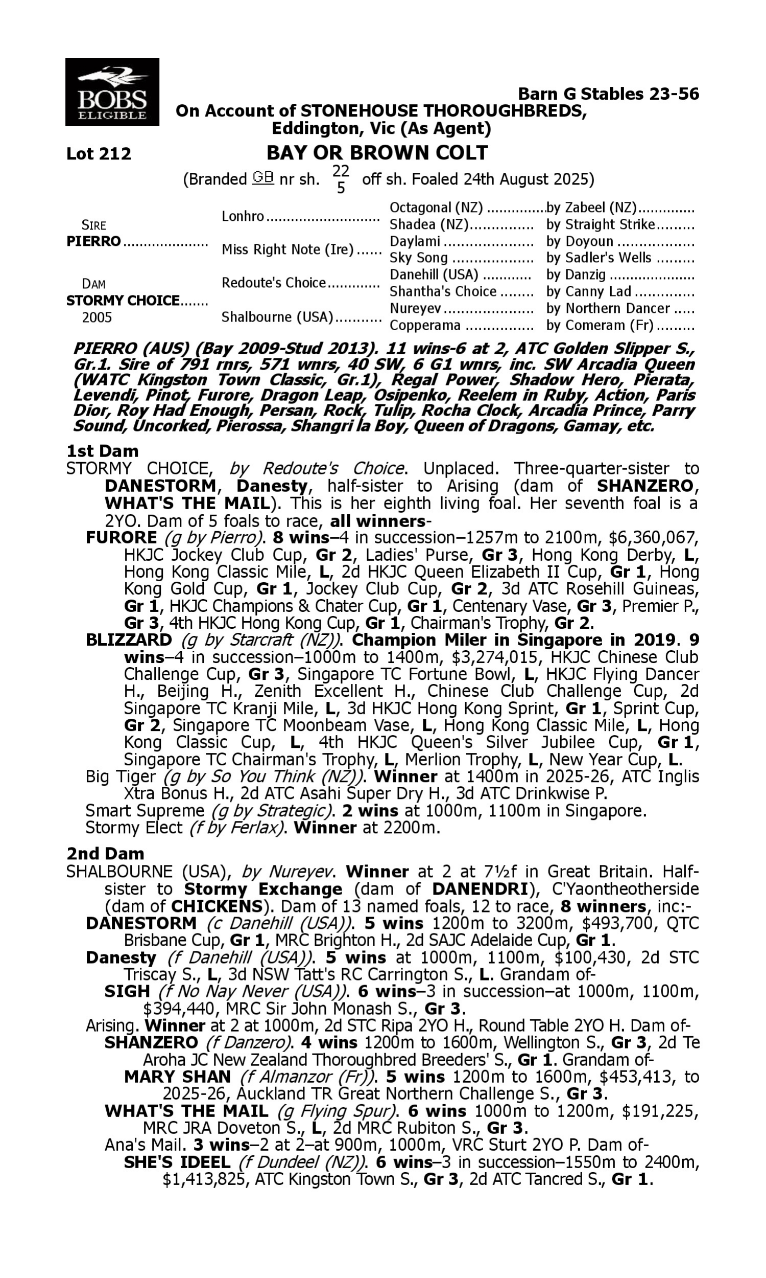 Pedigree for Lot 212 Pierro - Stormy Choice