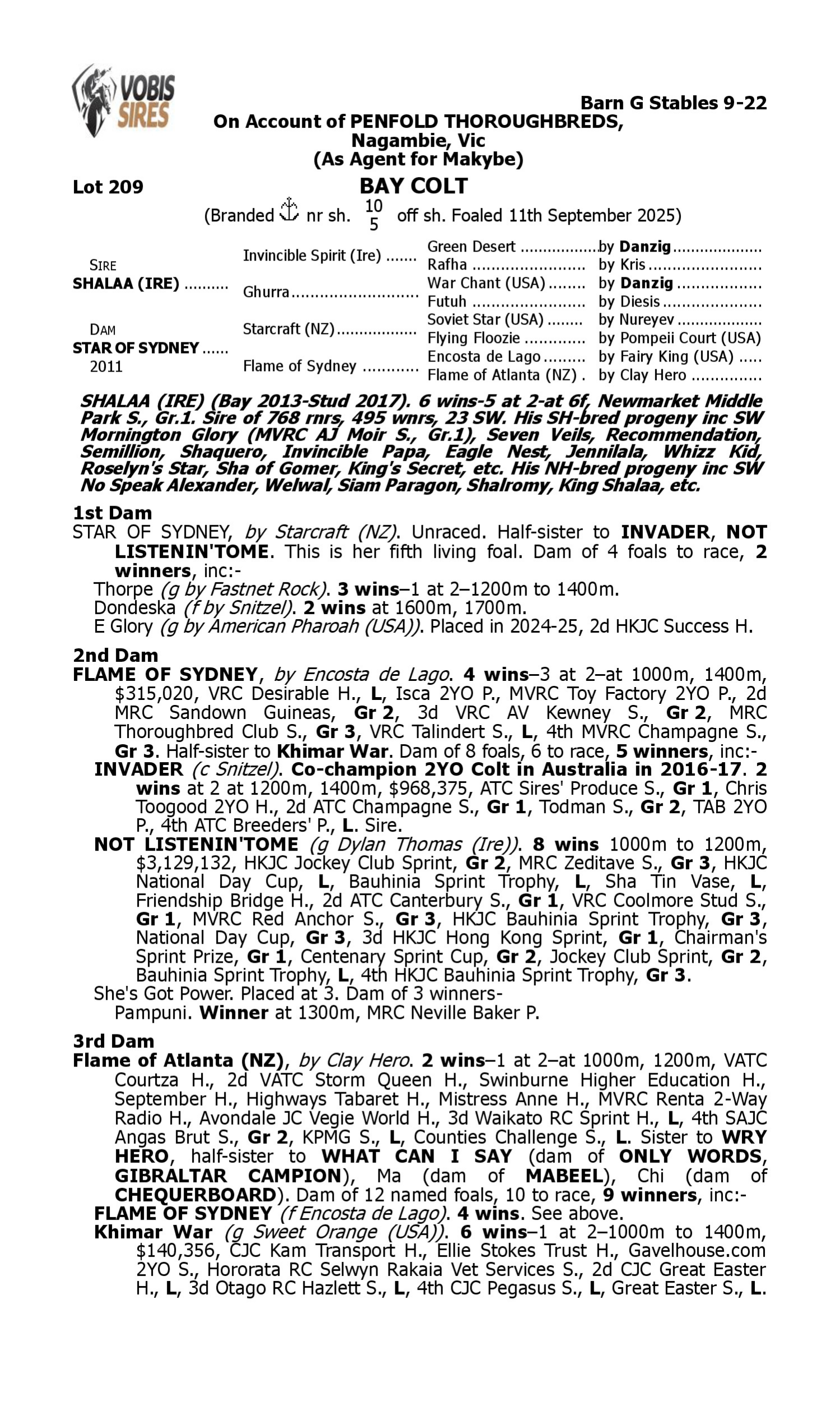Pedigree for Lot 209 Shalaa (IRE) - Star of Sydney