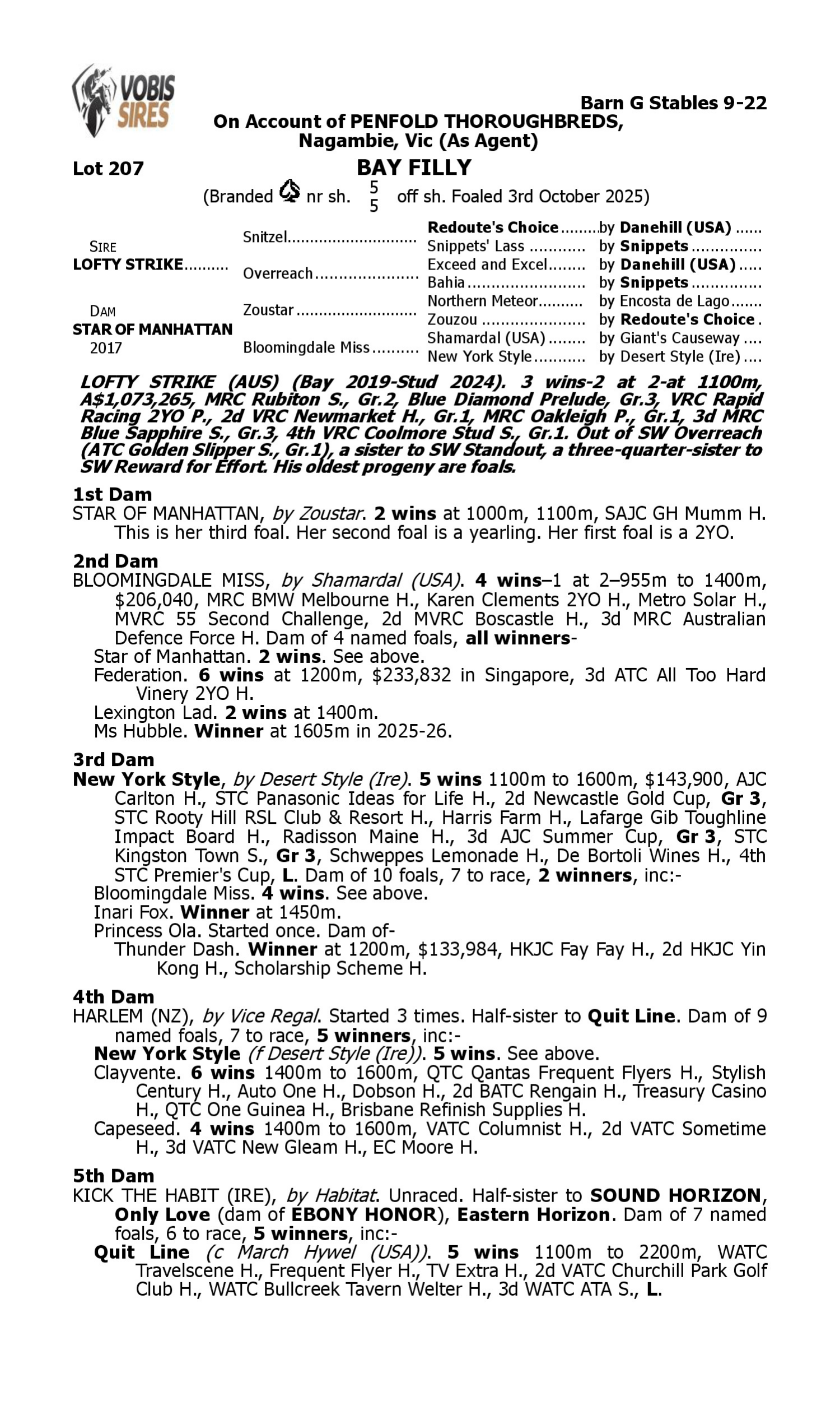 Pedigree for Lot 207 Lofty Strike - Star of Manhattan