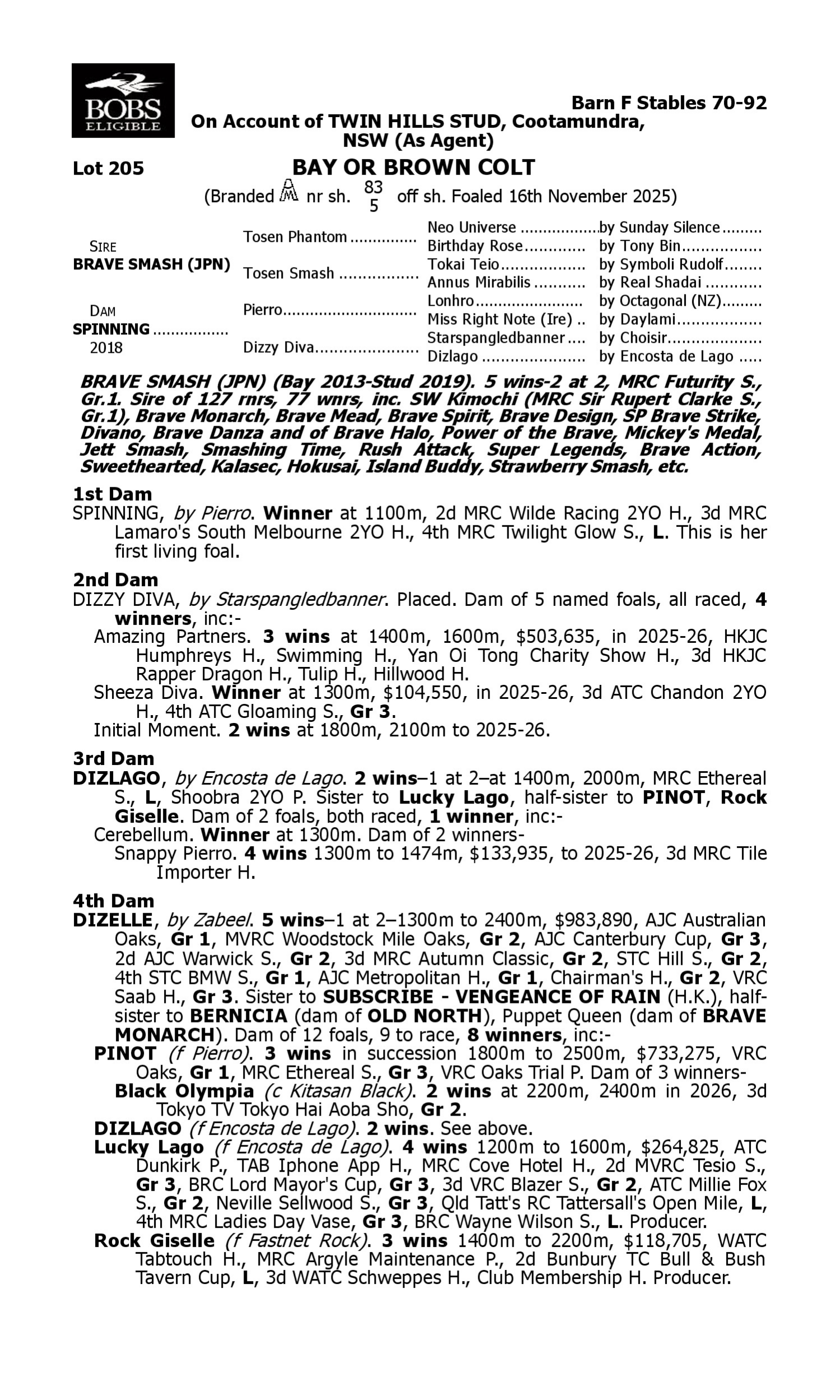 Pedigree for Lot 205 Brave Smash (JPN) - Spinning
