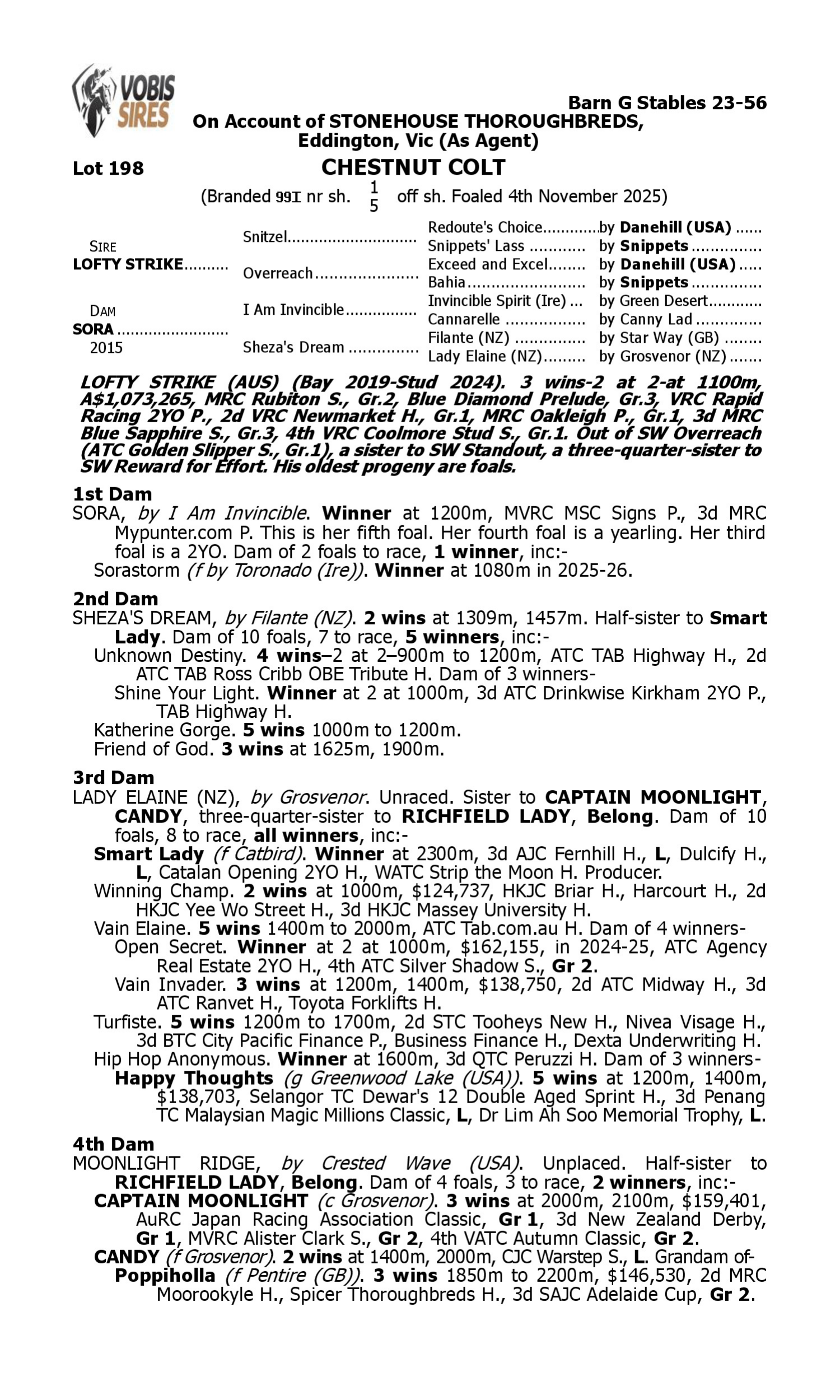 Pedigree for Lot 198 Lofty Strike - Sora