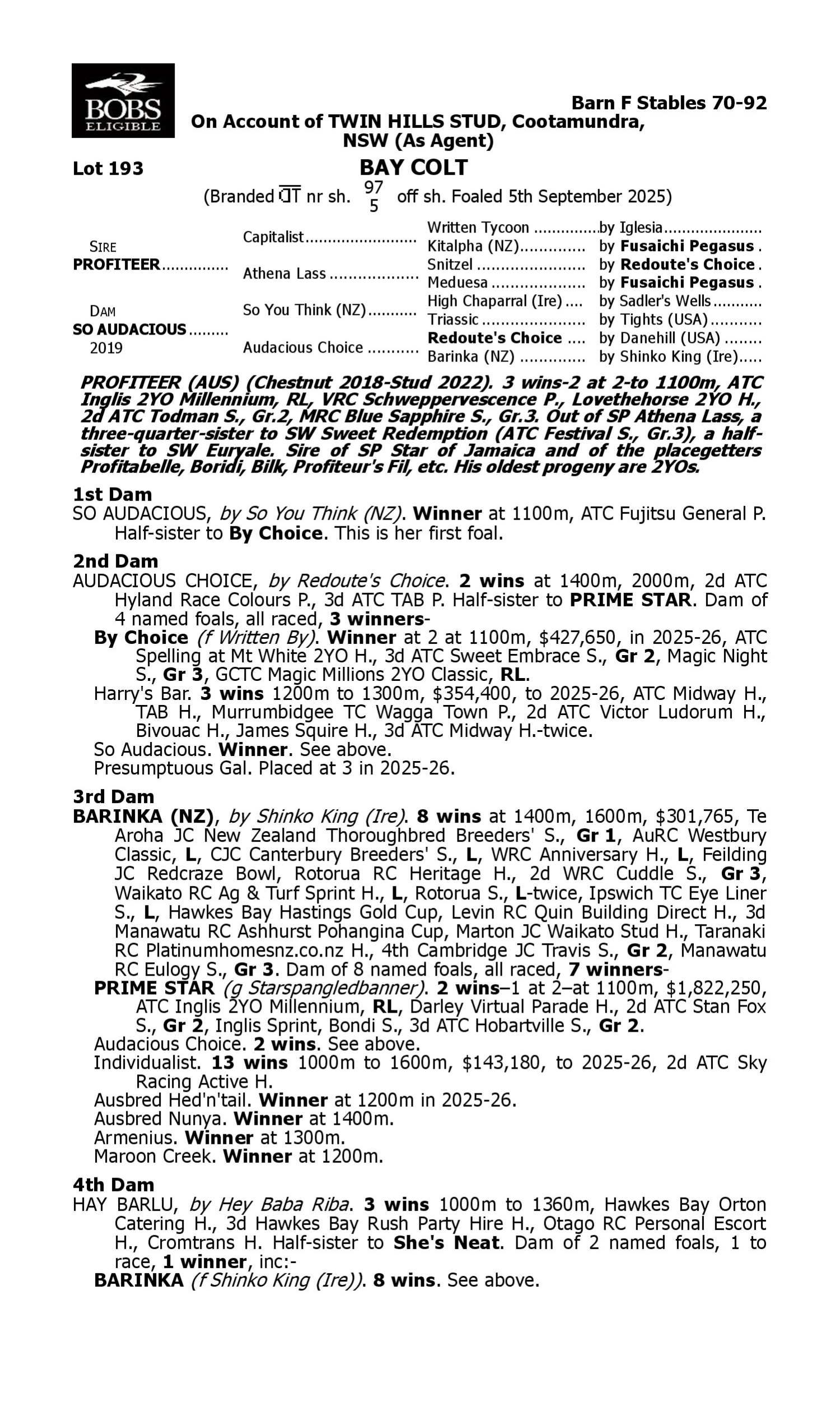Pedigree for Lot 193 Profiteer - So Audacious