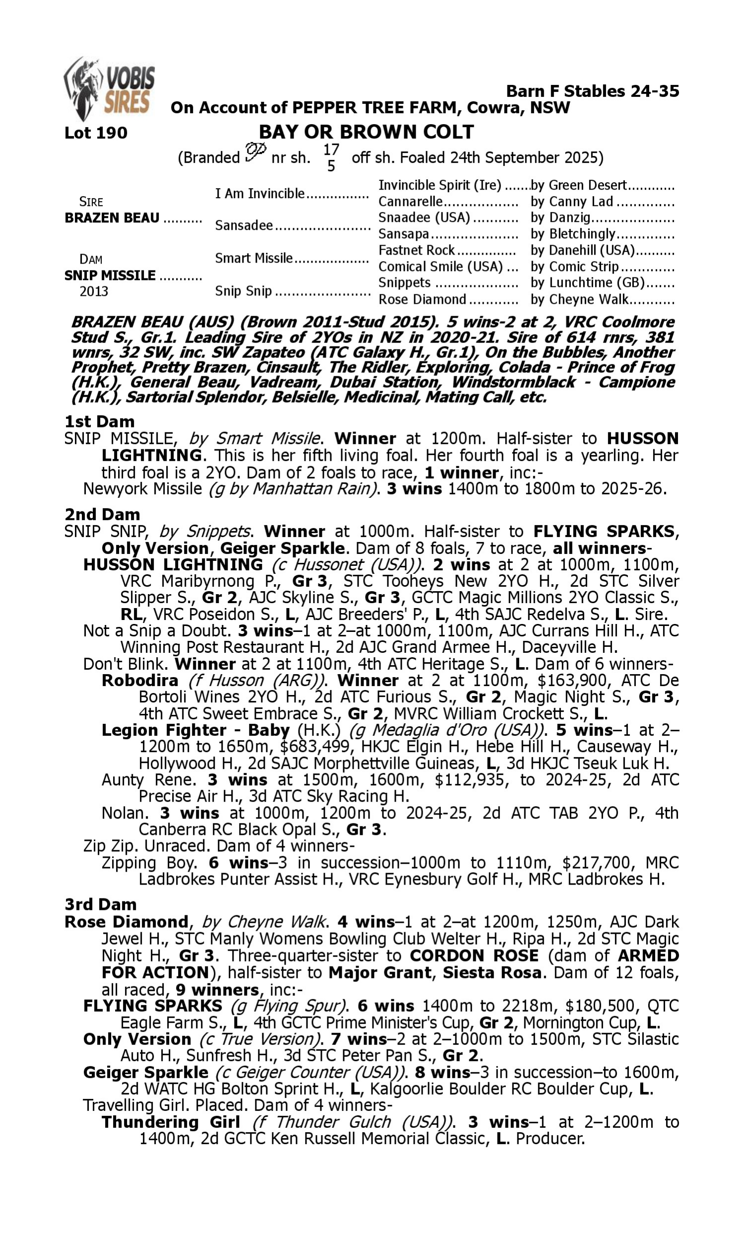 Pedigree for Lot 190 Brazen Beau - Snip Missile