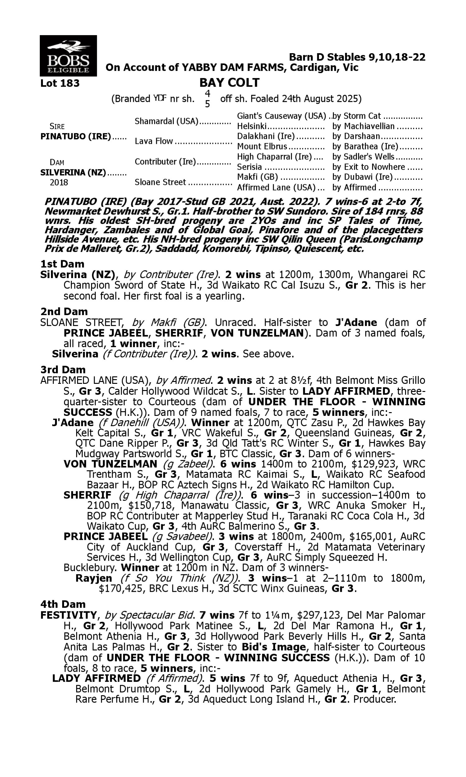 Pedigree for Lot 183 Pinatubo (IRE) - Silverina (NZ)