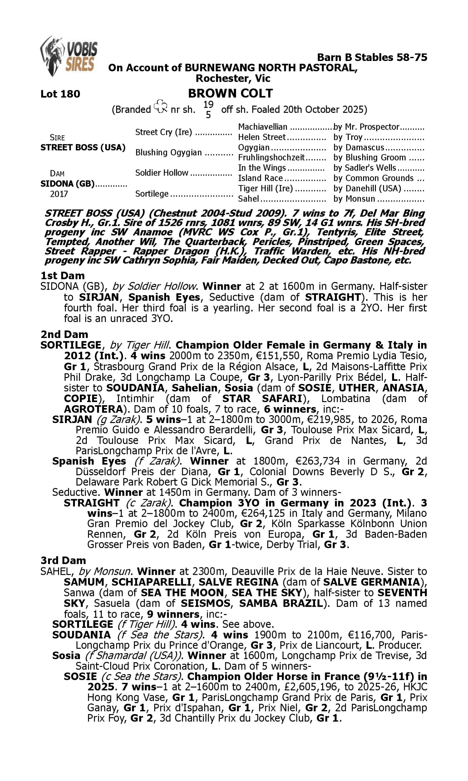 Pedigree for Lot 180 Street Boss (USA) - Sidona (GB)