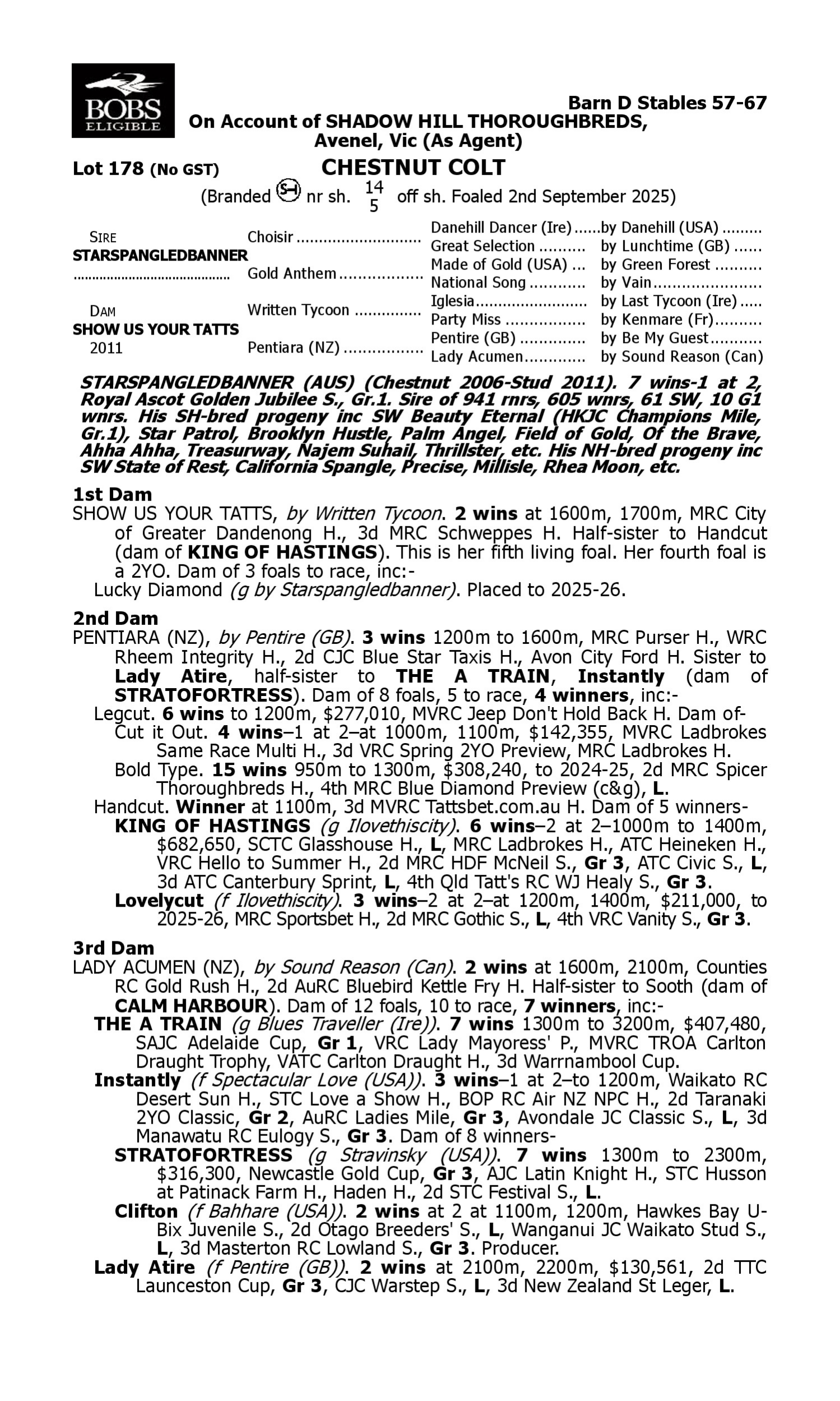 Pedigree for Lot 178 Starspangledbanner - Show Us Your Tatts
