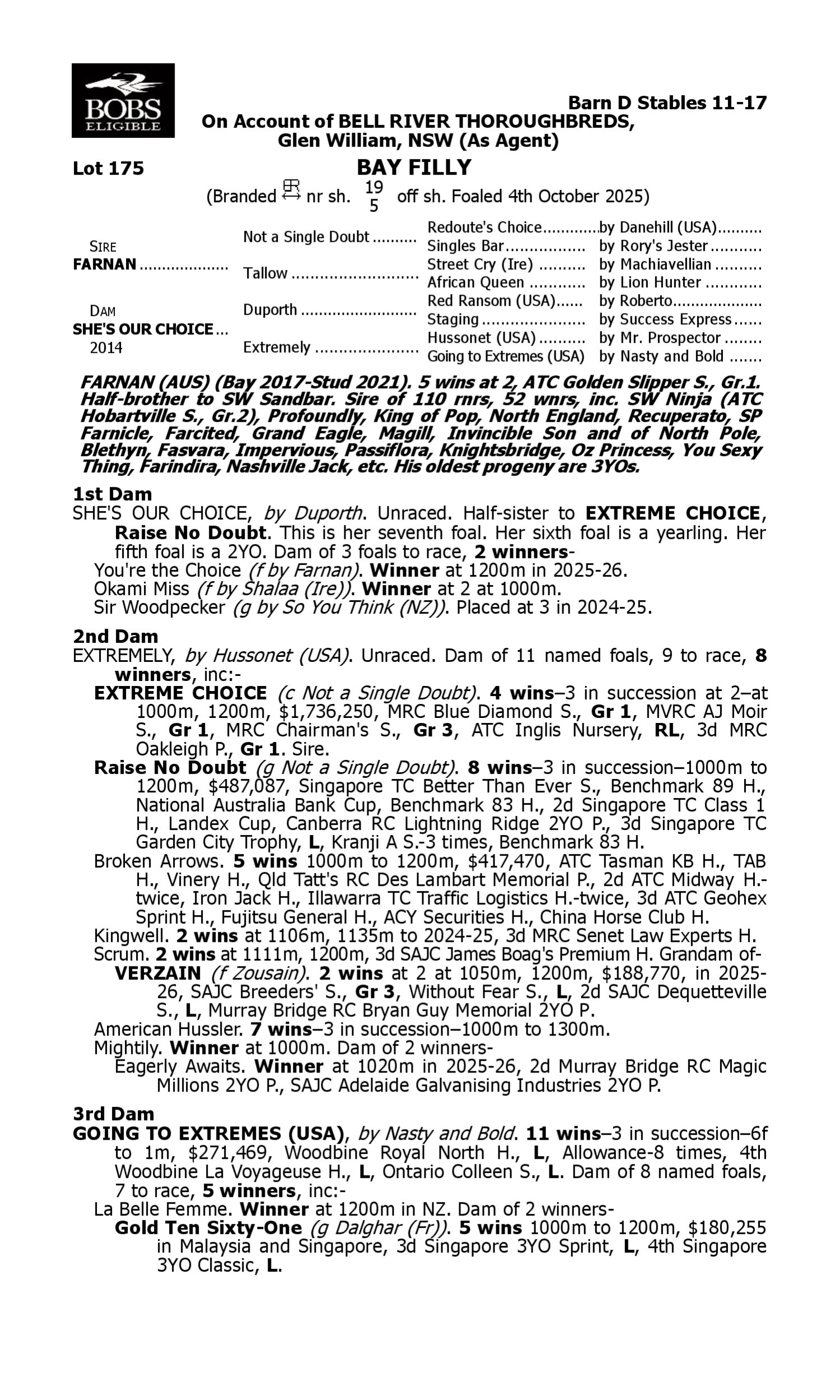 Pedigree for Lot 175 Farnan - She's Our Choice