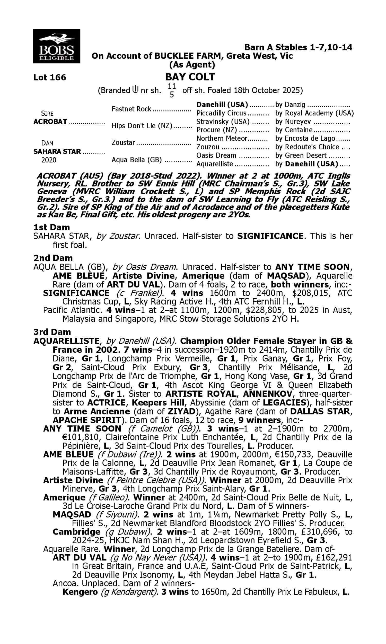 Pedigree for Lot 166 Acrobat - Sahara Star