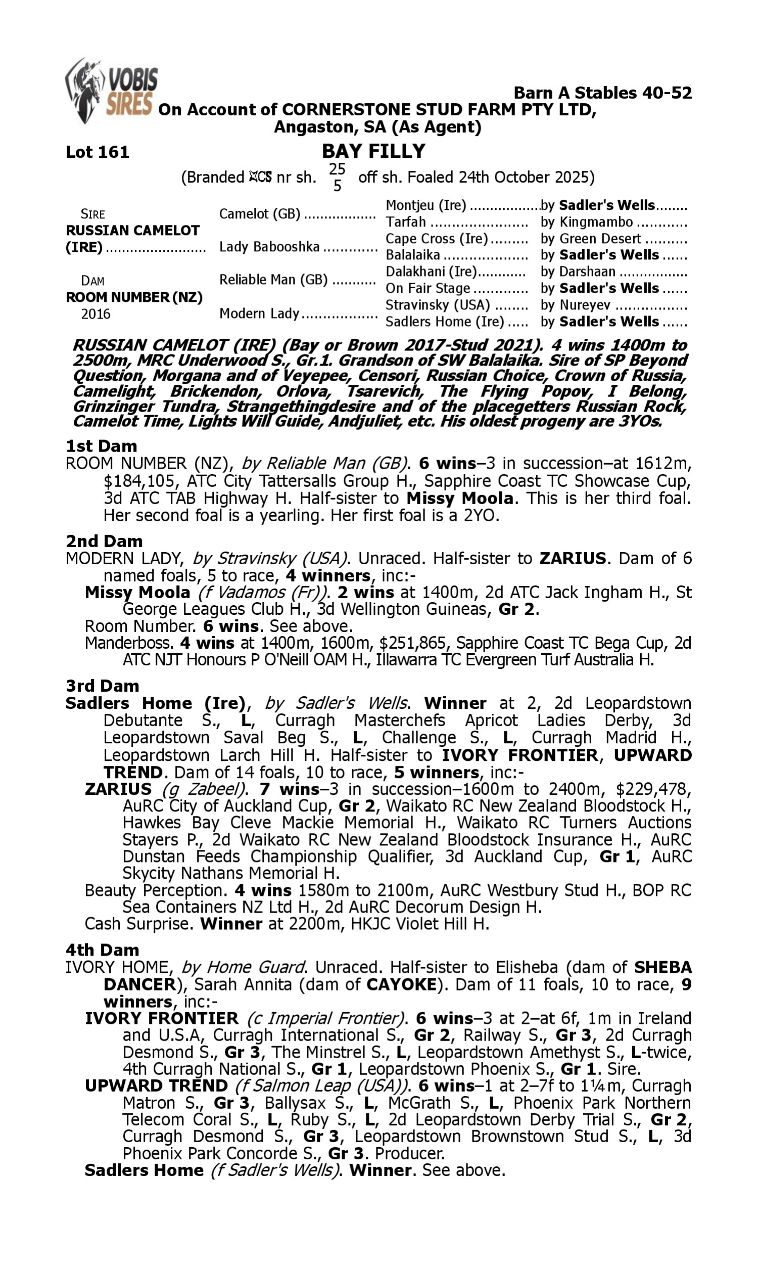 Pedigree for Lot 161 Russian Camelot (IRE) - Room Number (NZ)