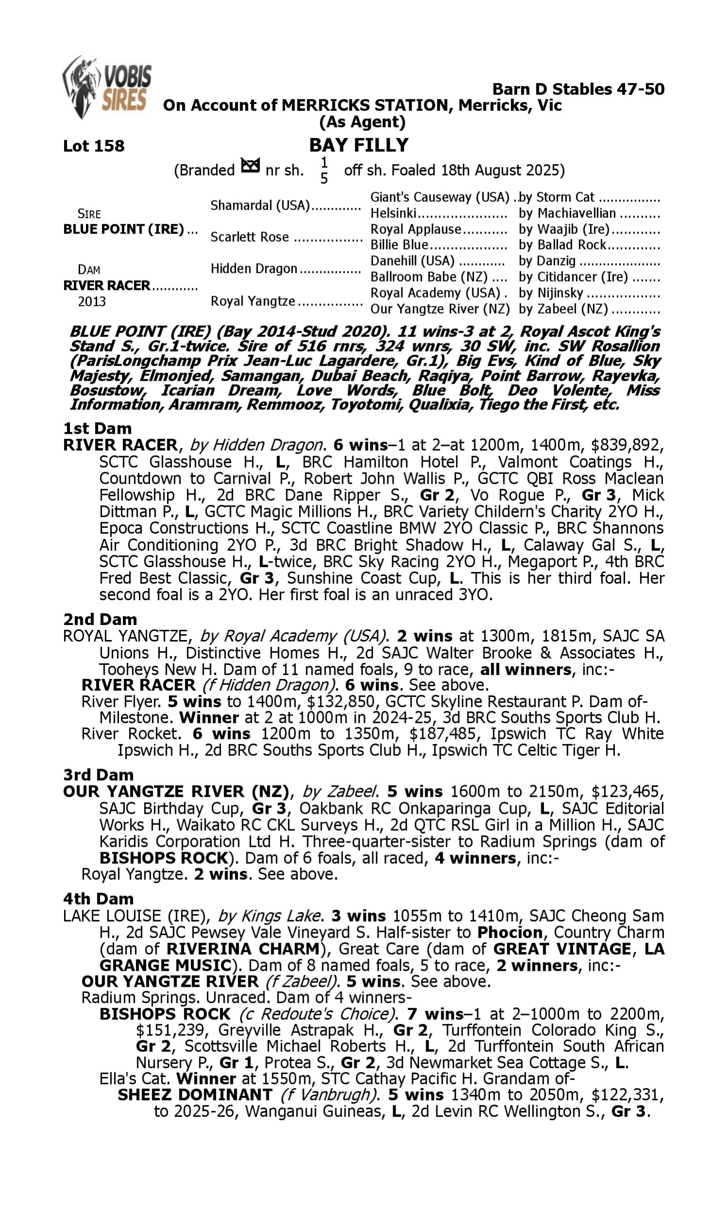 Pedigree for Lot 158 Blue Point (IRE) - River Racer