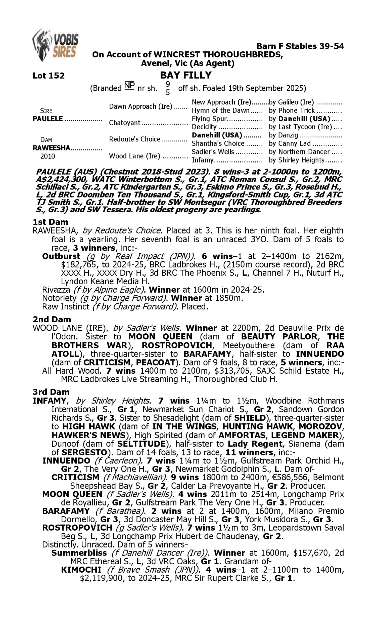 Pedigree for Lot 152 Paulele - Raweesha