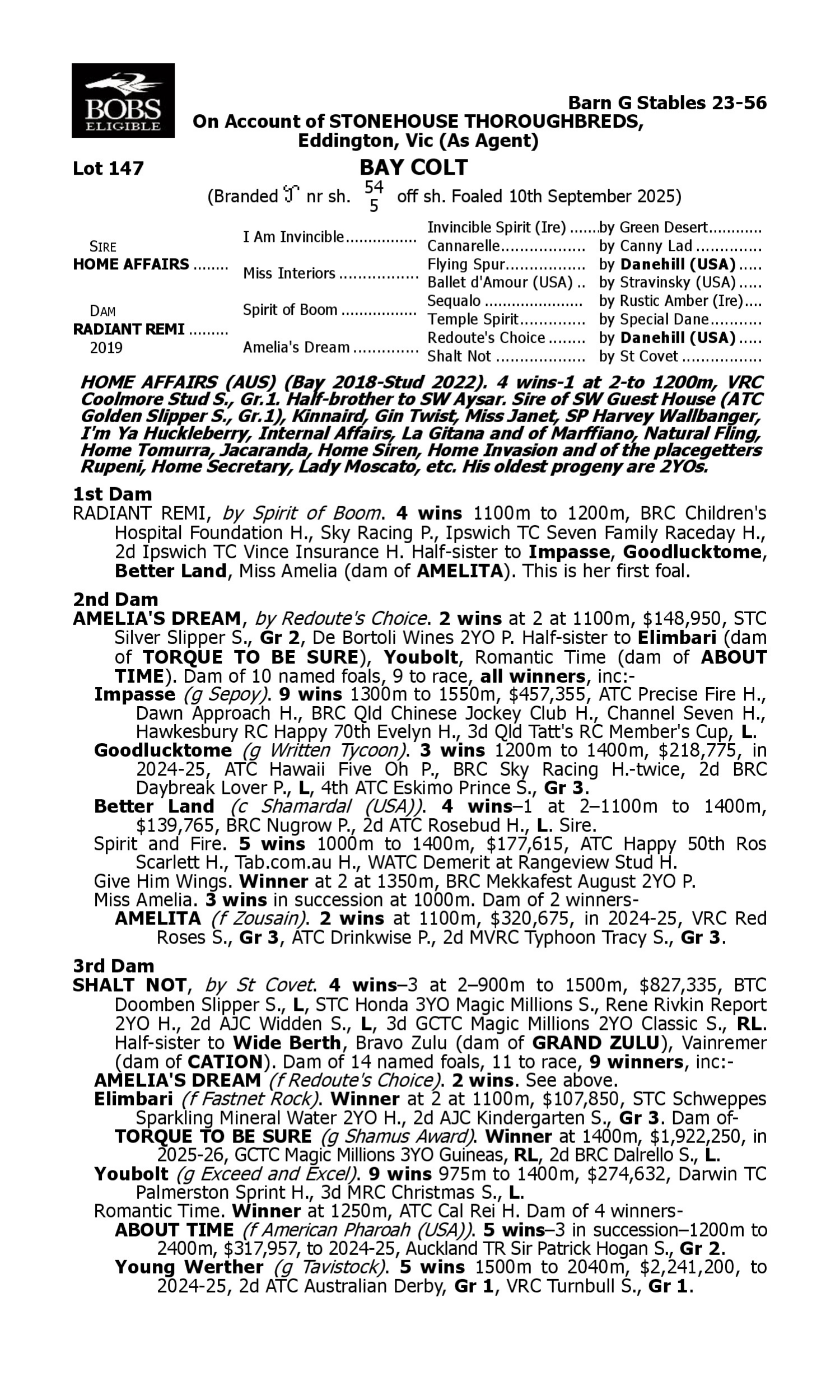 Pedigree for Lot 147 Home Affairs - Radiant Remi